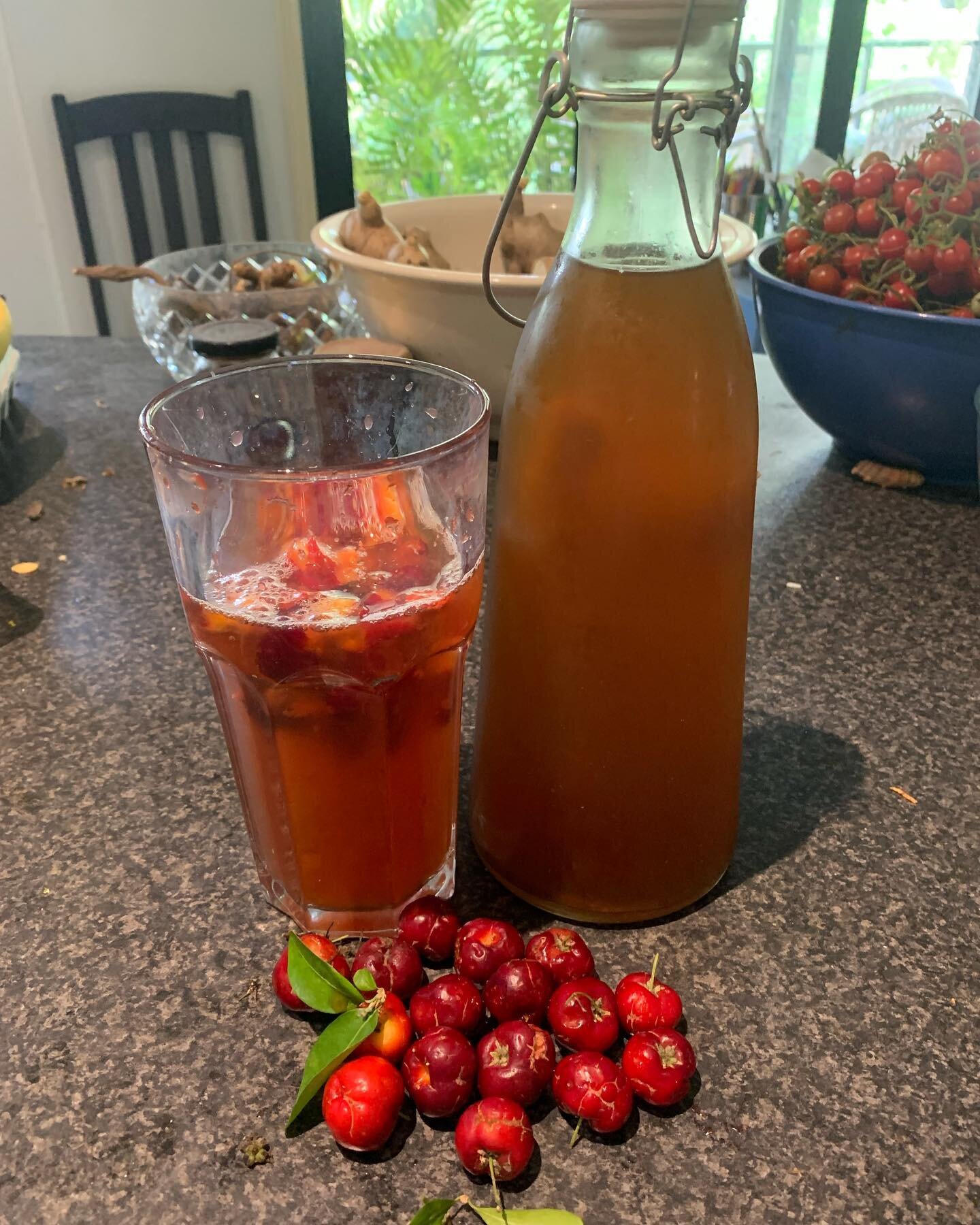 A beautiful refreshing drink. Some home made kombucha with some crushed Acerola cherries mixed in. #acerolacherry #kombutcha #fundrinksathome