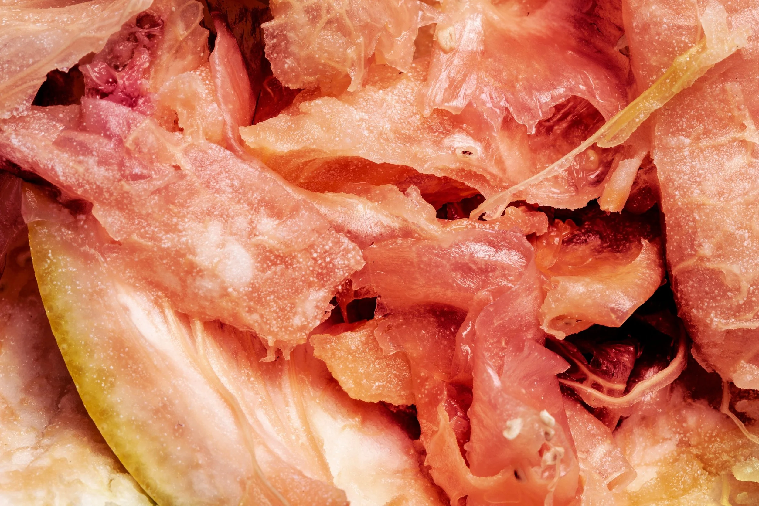 untitled (grapefruit)