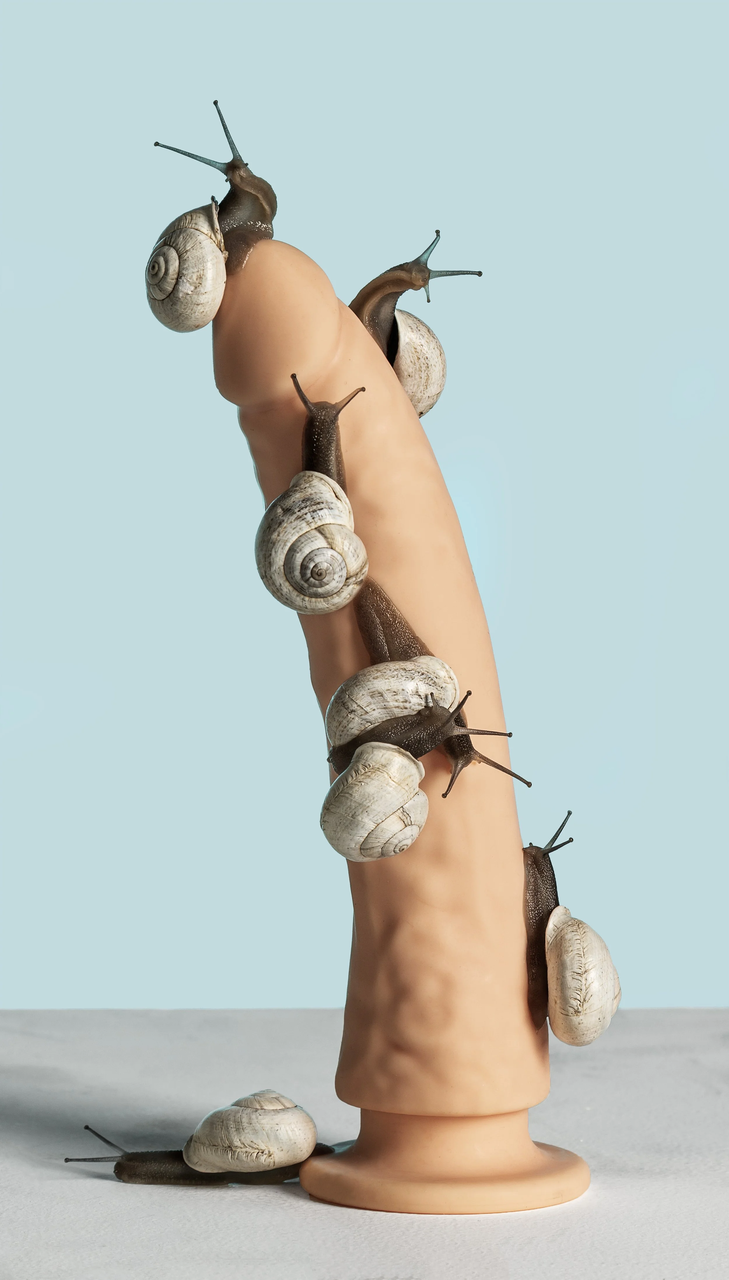 untitled (snails on dildo)