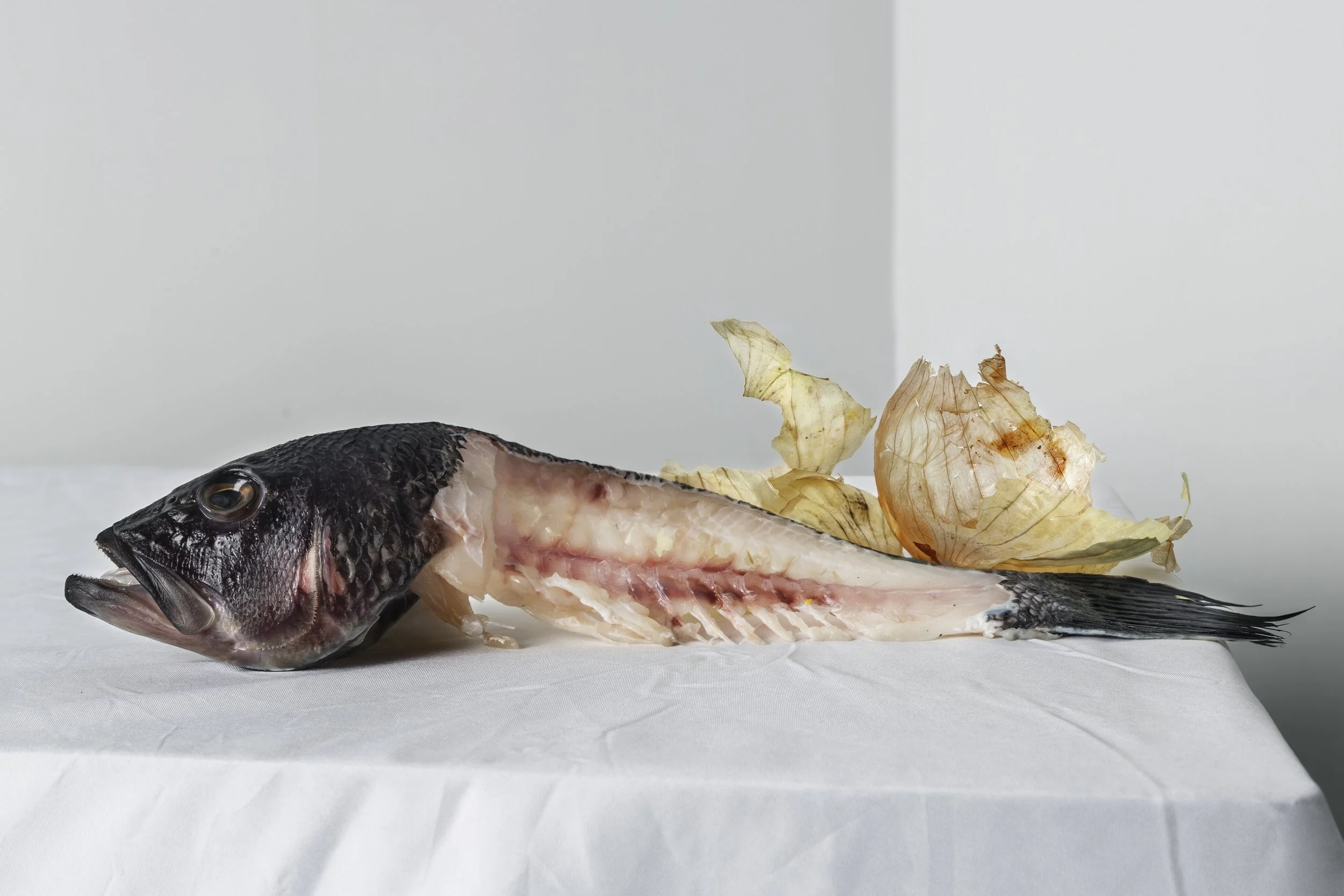 1paccfish.jpg