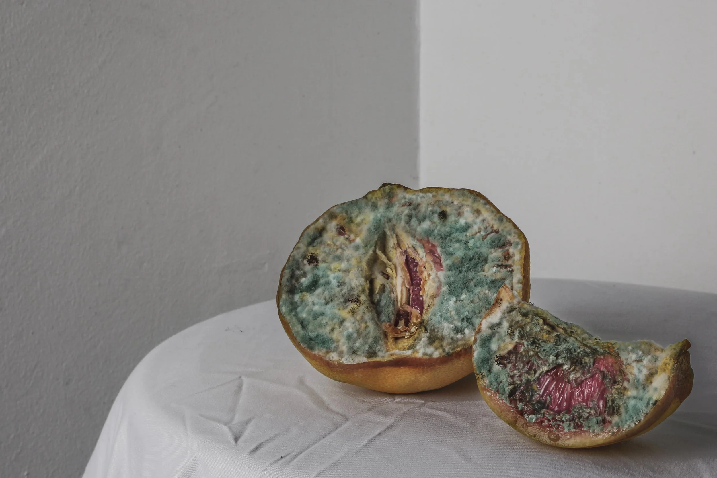 1paccgrapefruit copy.jpg