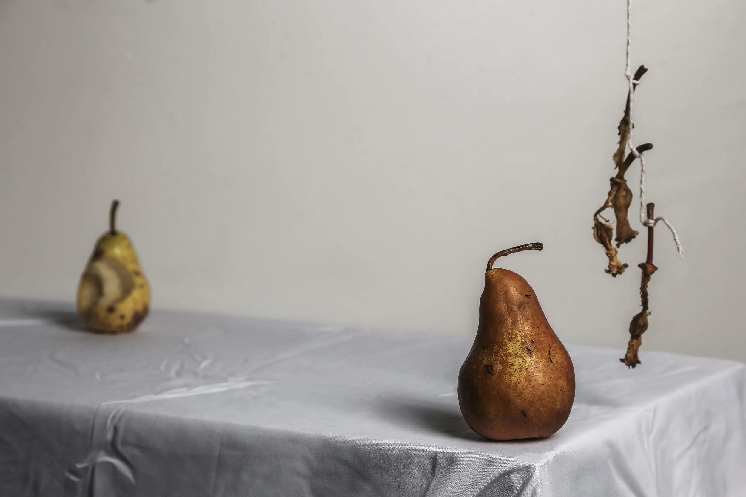 1paccpear copy.jpg