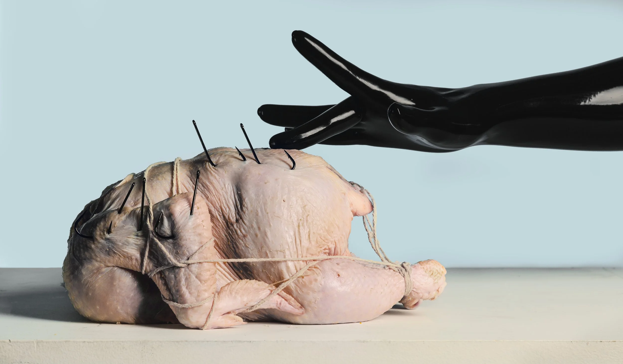 untitled (raw chicken)