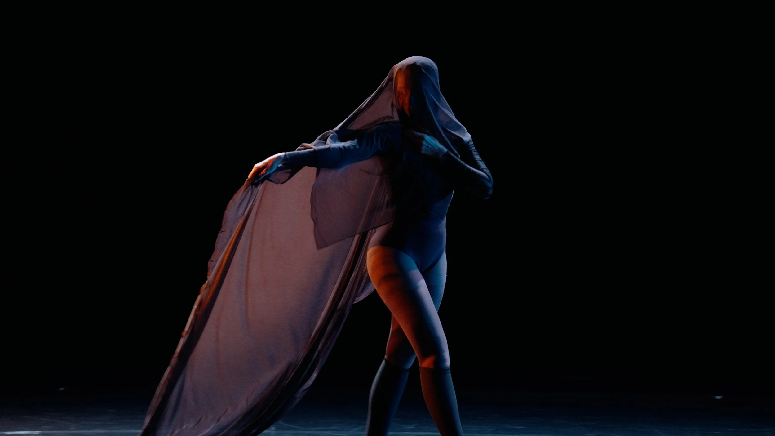 A dancer on stage holding a large fabric prop, with a black background and dramatic lighting.