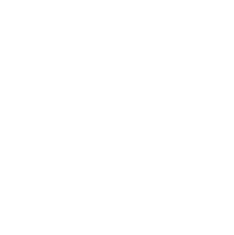 icon of a globe