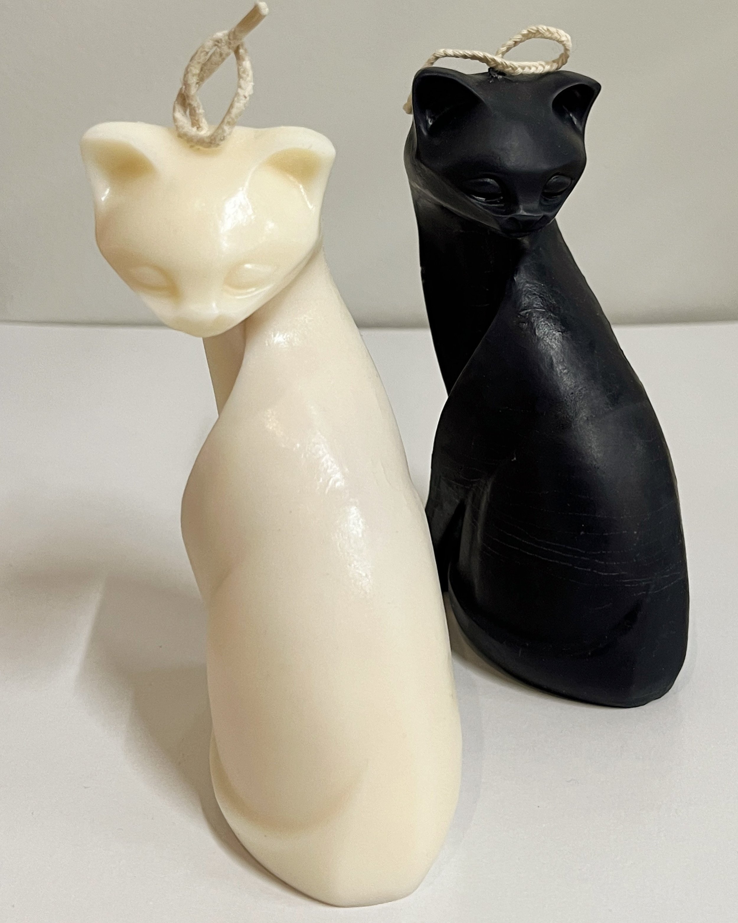 Cat - Pillar Cadle