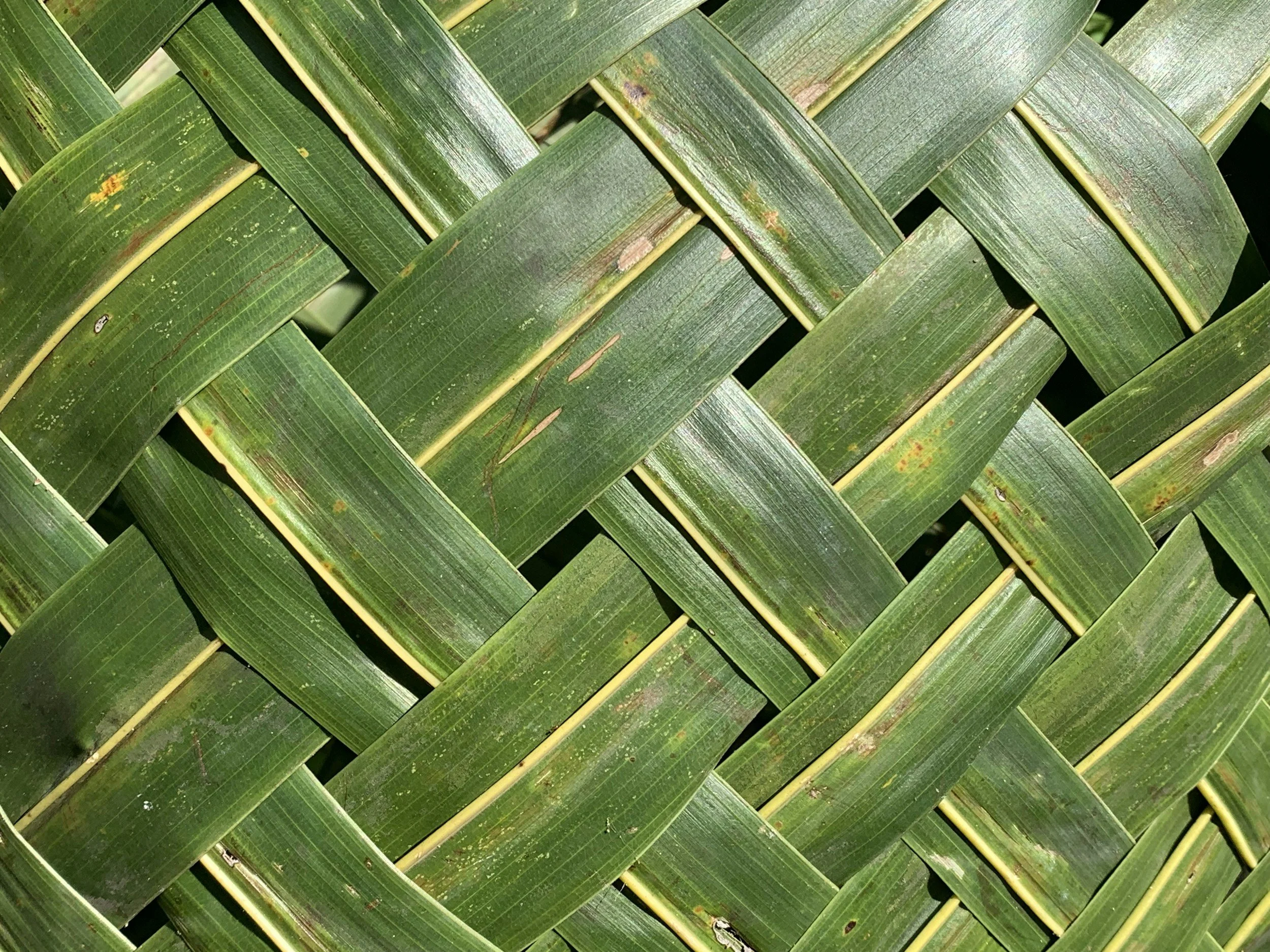 Geometric drawing of an outline square with sections divided by vertical, horizontal, and diagonal lines.