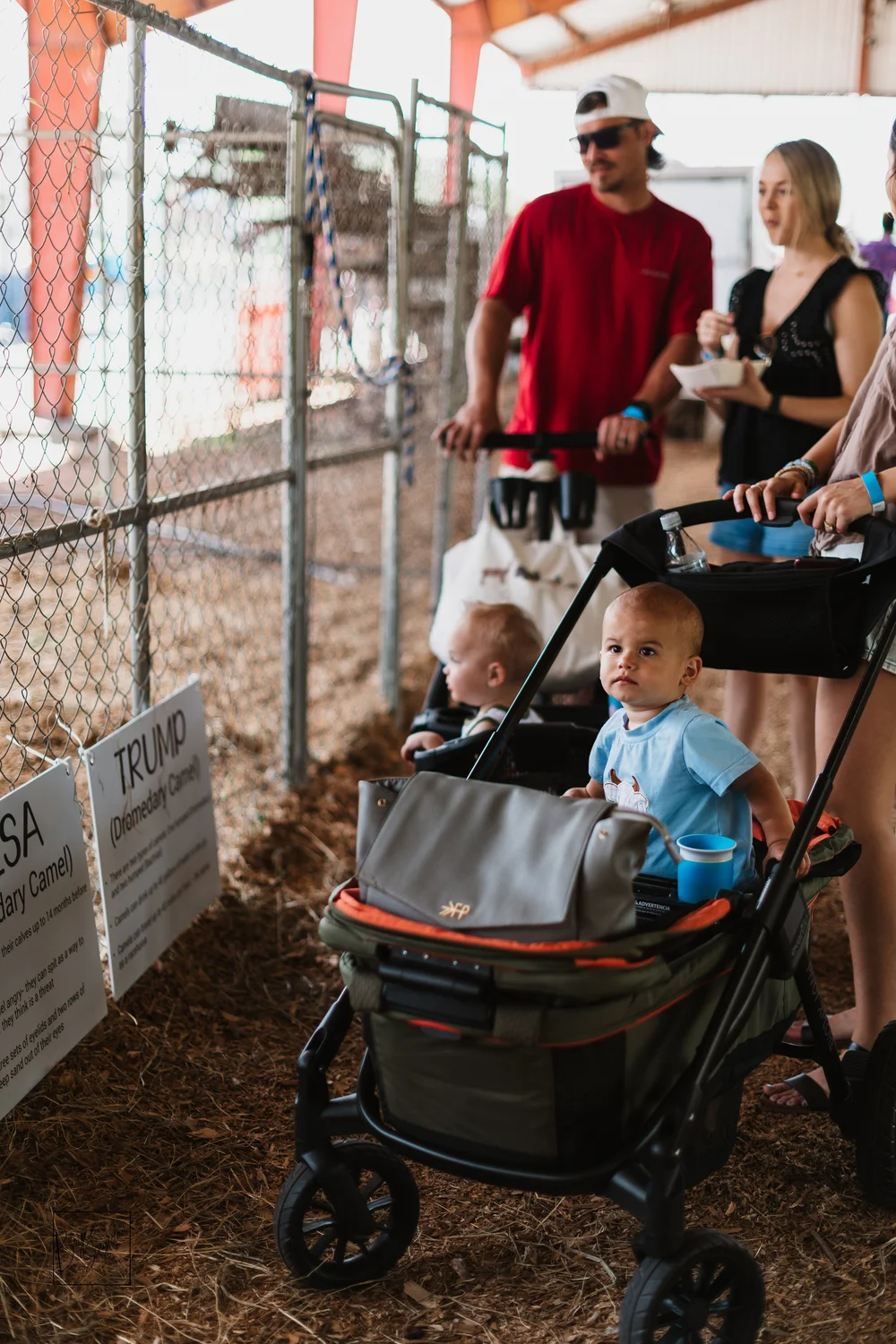 Gallery — Spring in the Valley