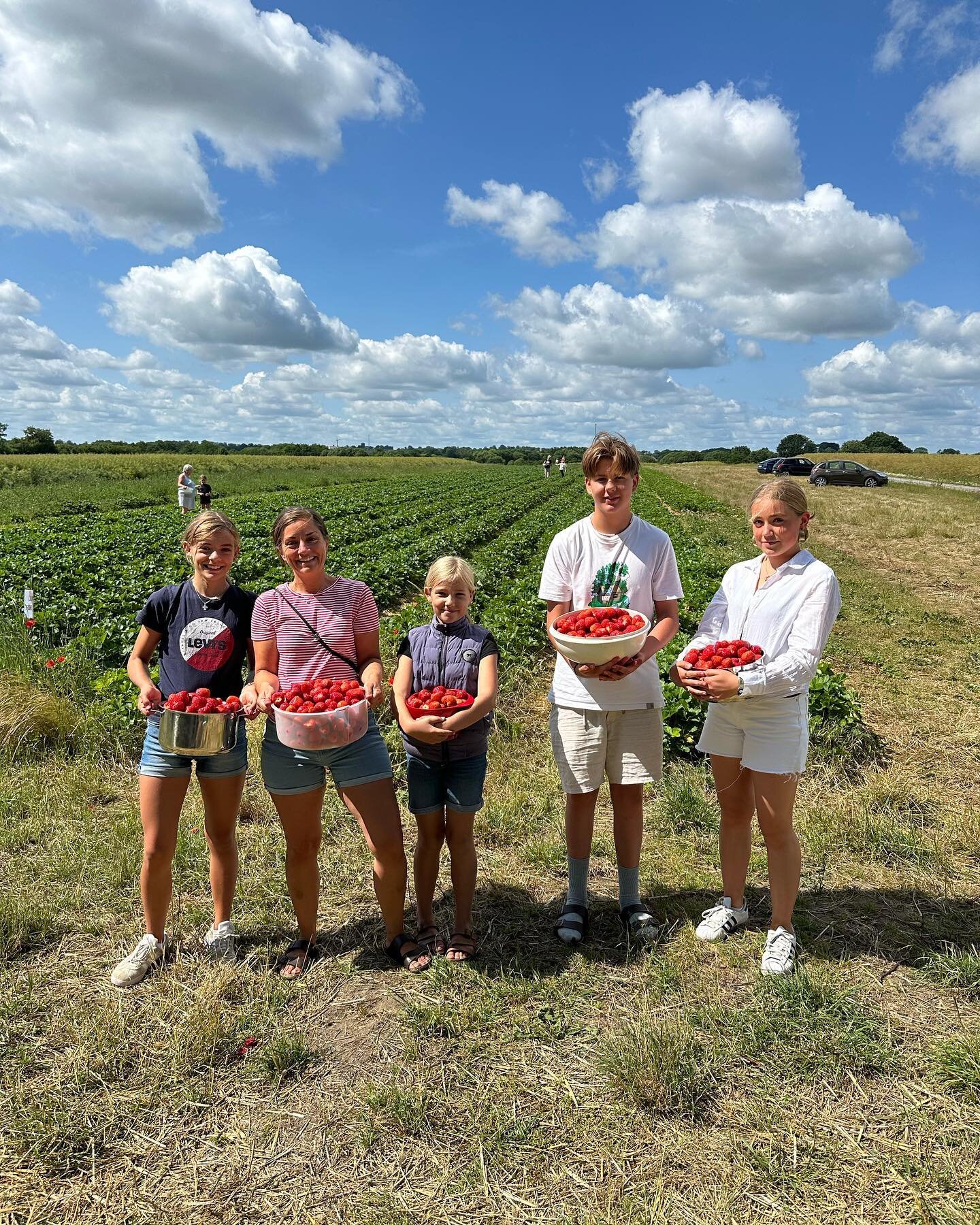 Vi er fuldst&aelig;ndig overv&aelig;ldet over, hvor mange sk&oslash;nne mennesker der allerede har v&aelig;ret forbi for at plukke 🍓hos os. Det er faktisk s&aring; vildt, at vores planter knap nok kan f&oslash;lge med. 

Tusind tusind tak for jeres 