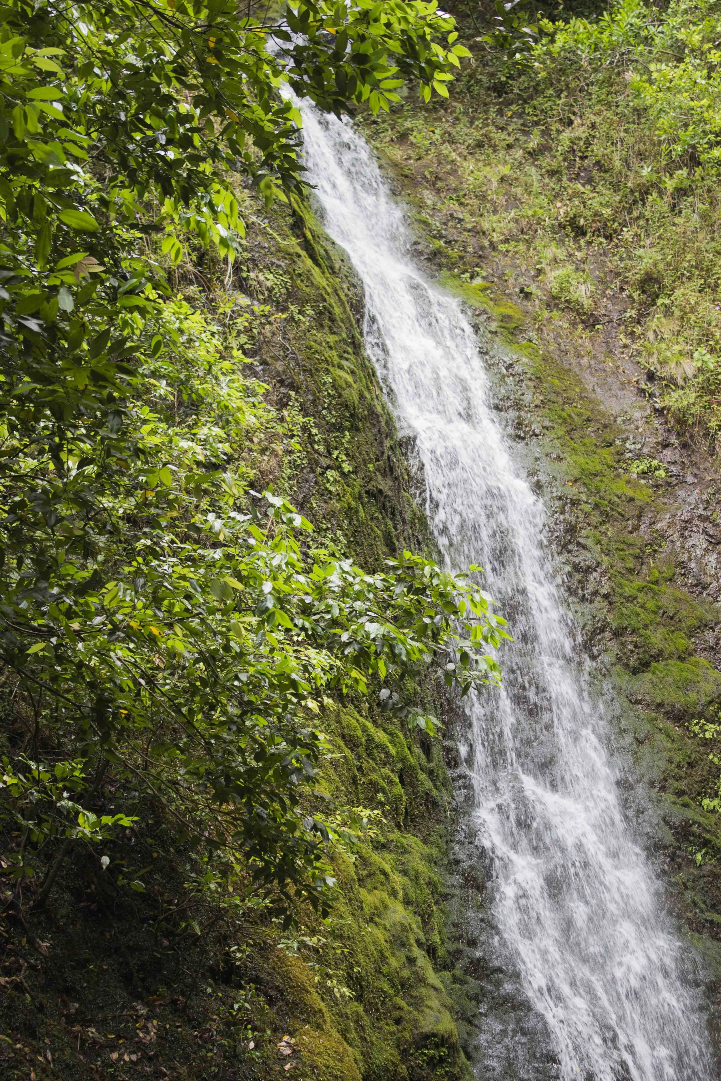 Hawaï – Cascade dans la nature