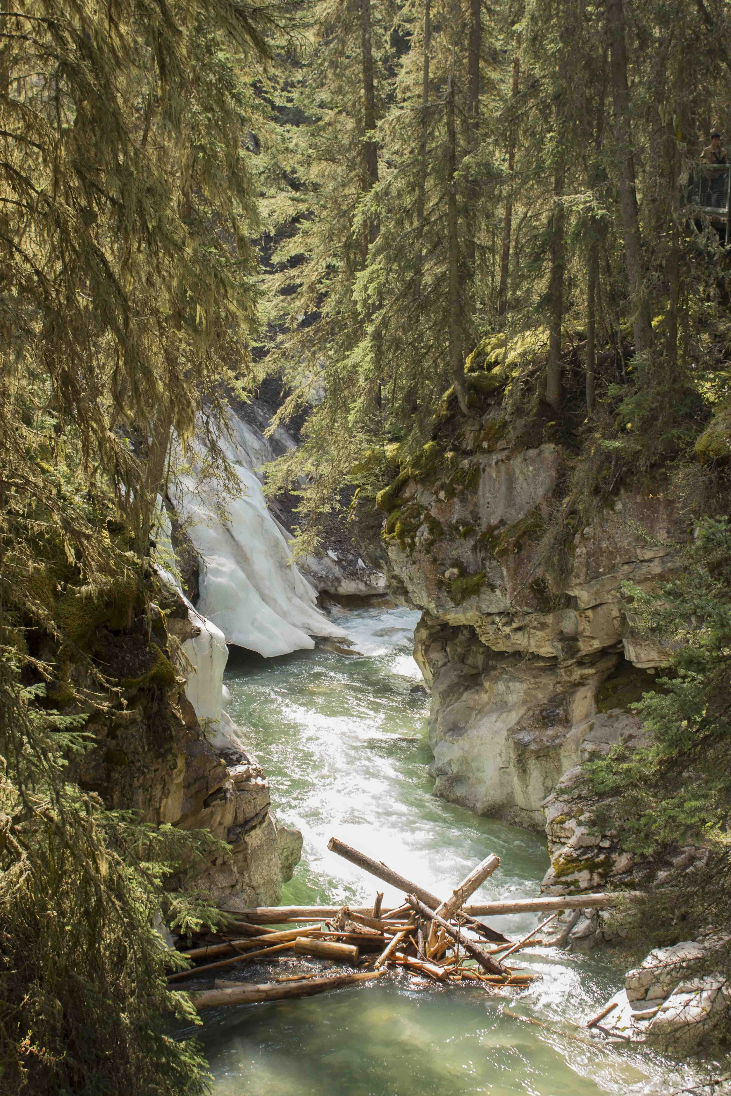 British Colombia, Canada – Rivière et forêt