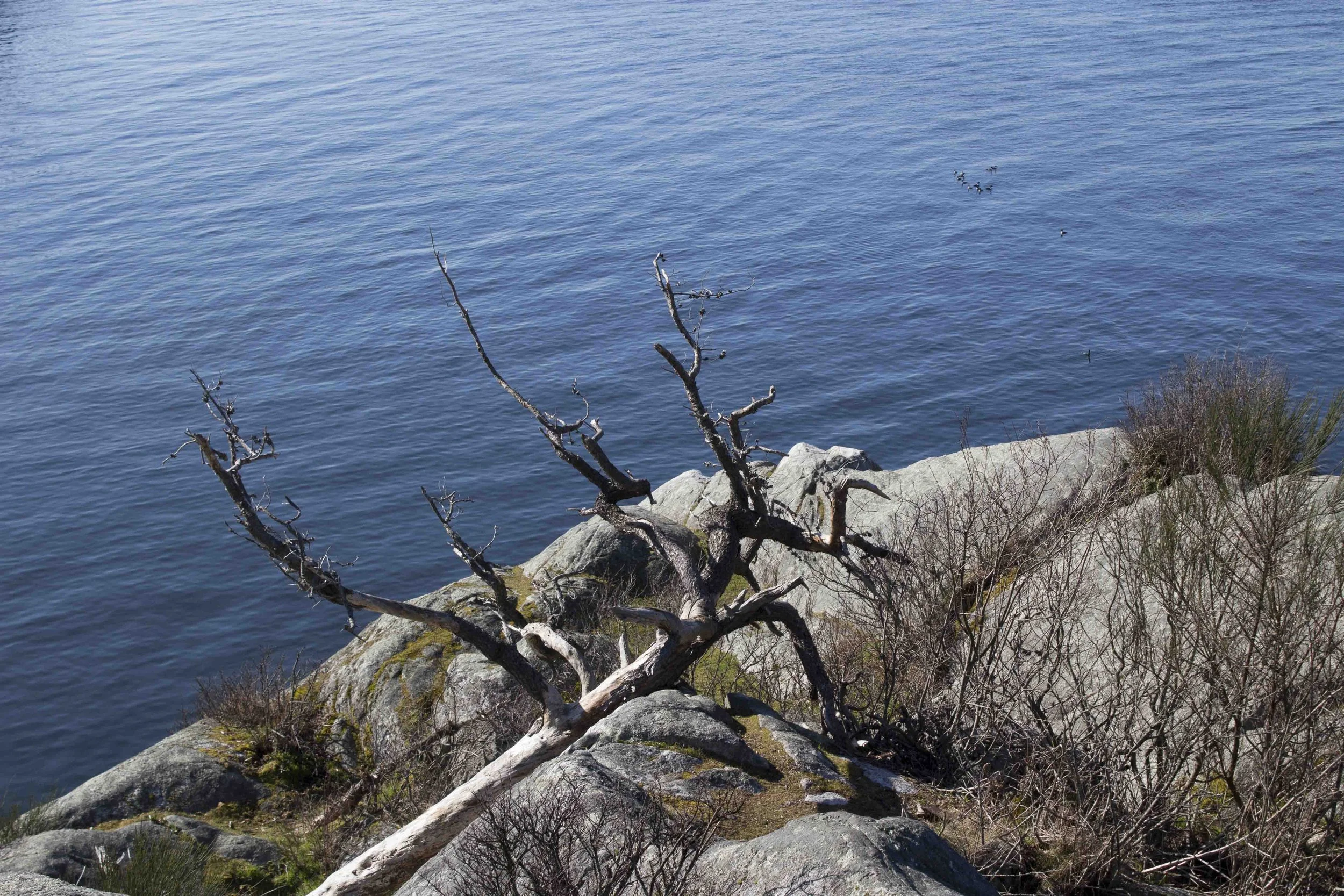 British Colombia, Canada – Vue sur mer, Whitecliff
