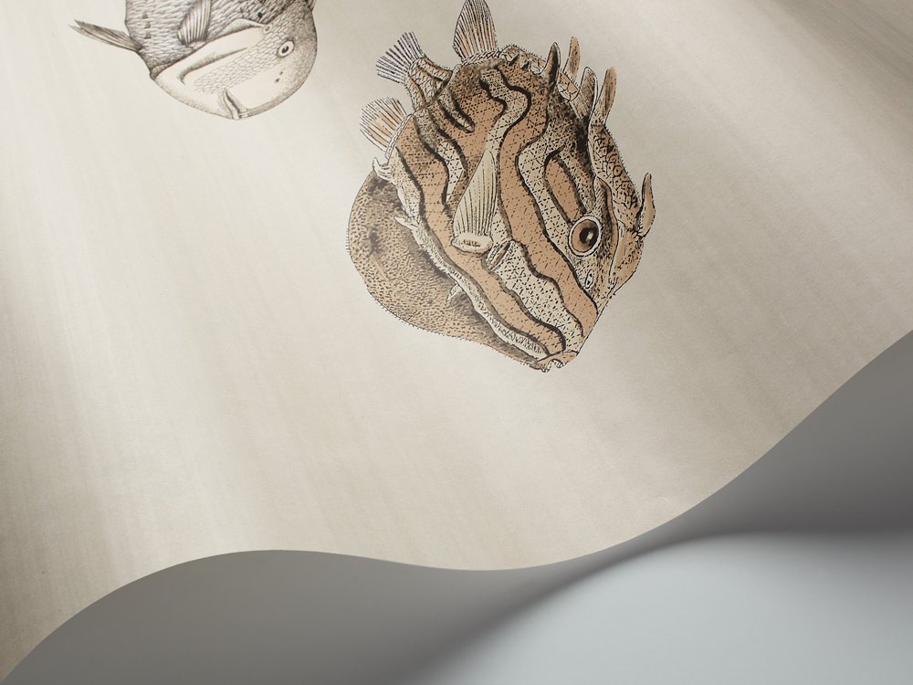 Cole & Son | Fornasetti Acquario Fish Wallpaper 114/16033 | Shop