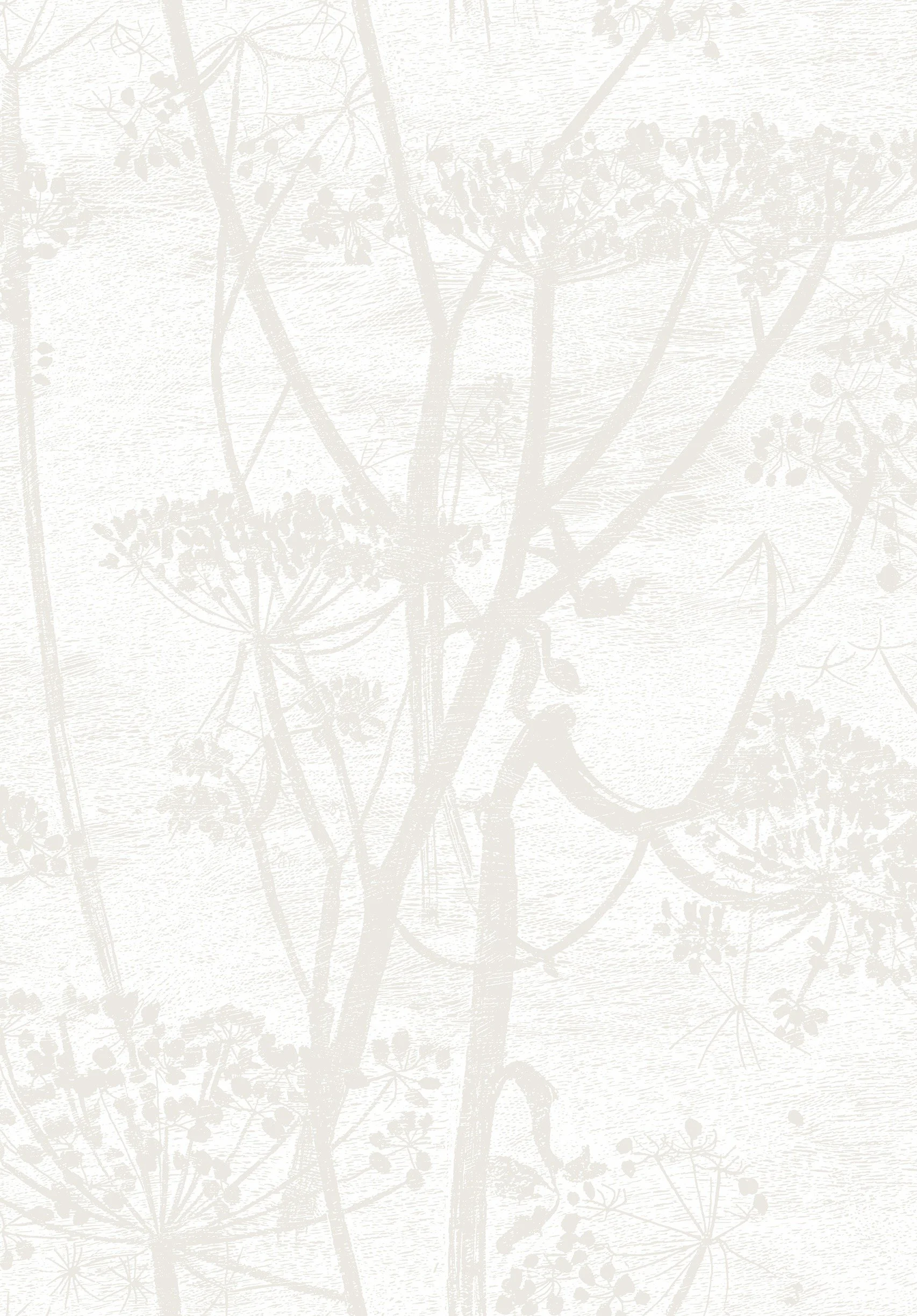 Cole & Son Cow Parsley Wallpaper 95/9052 Shop Wallpaper Online