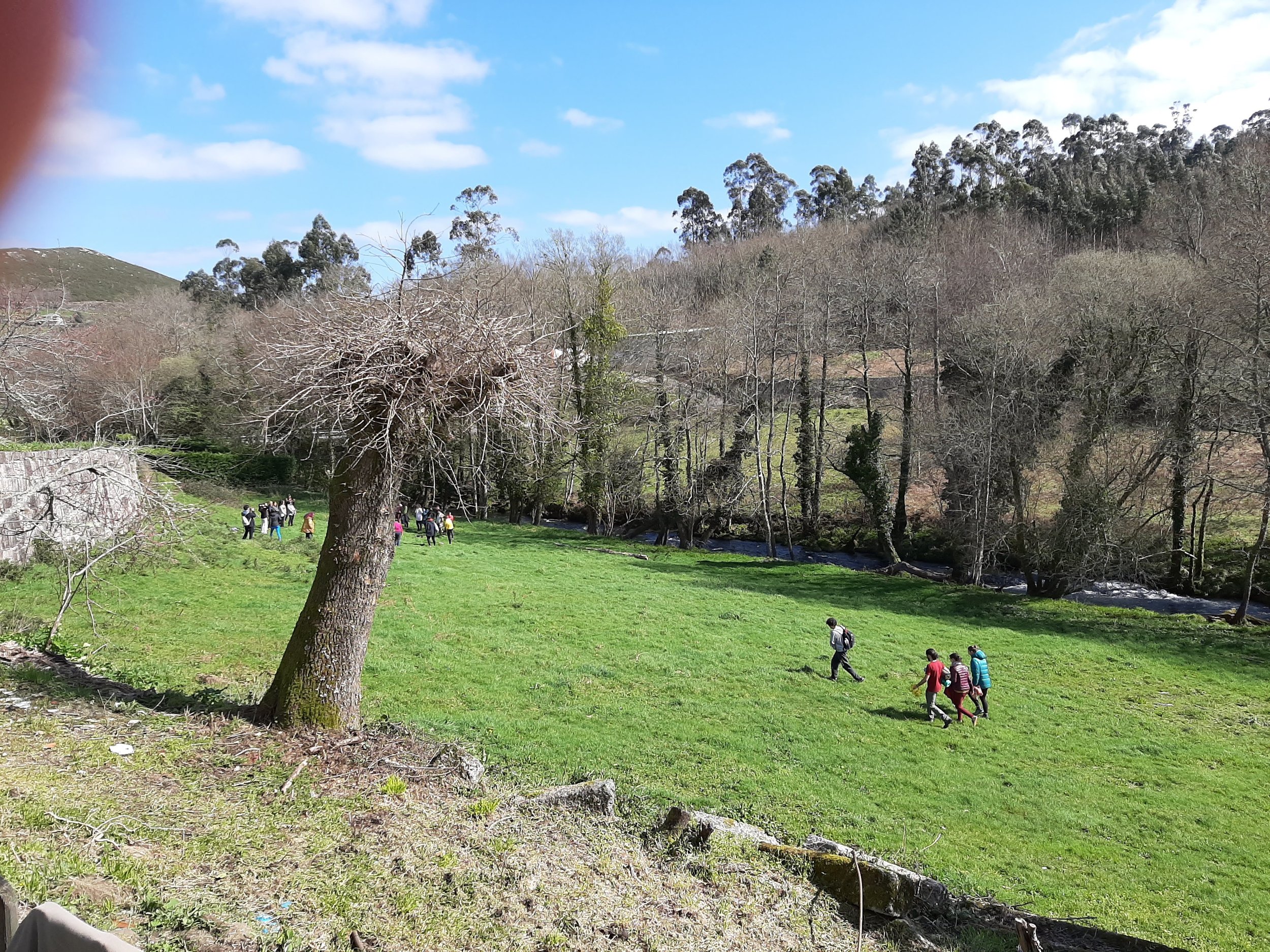 Baño de bosque con Anna Dalña