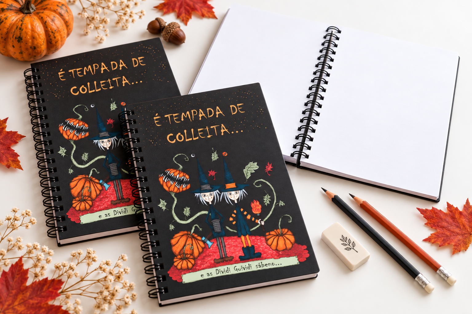 cuaderno abierto DG.png