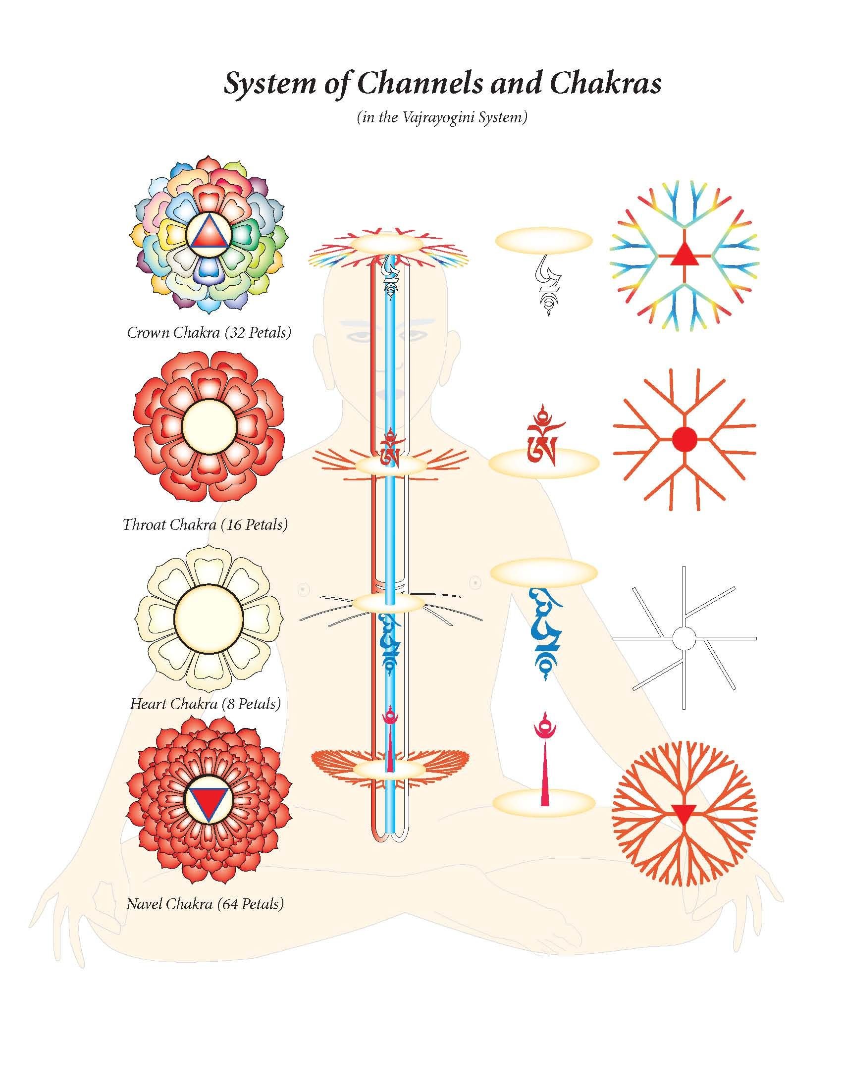 Sistema de chakras