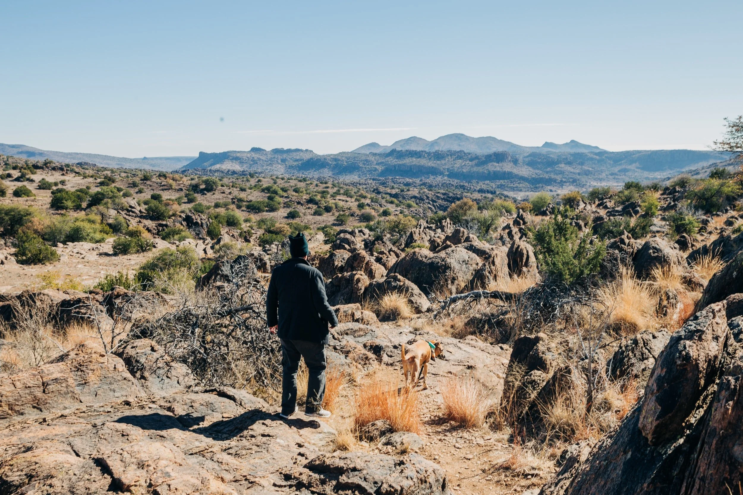 unsplash-image-GEN8BNjYPNI.jpg