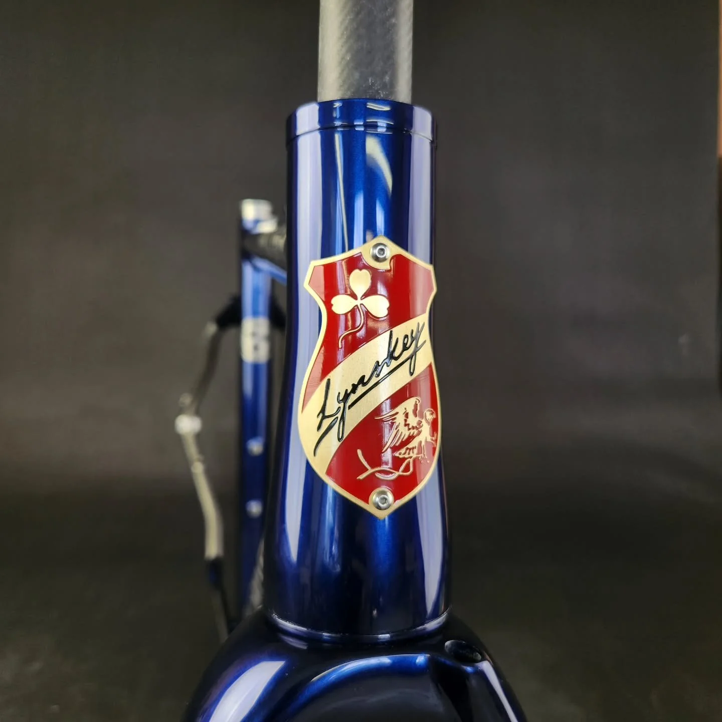 Lynskey PRO GR - Kona Blue with punched out titanium logos. So hot 💅
.
.
.
@lynskeyperformance #lynskey #lynskeyperformance @low_life_jordan ##custompaint #bicyclepainter #jlcustompaint
#konablue #titanium