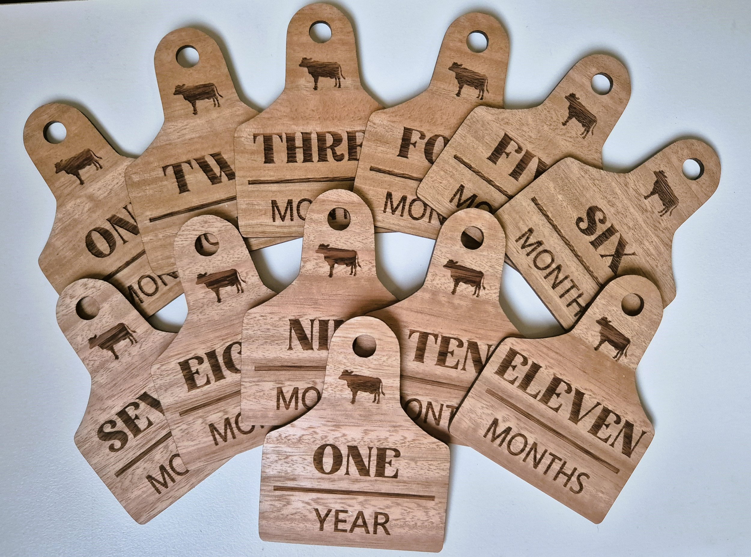 Cow tags.jpg