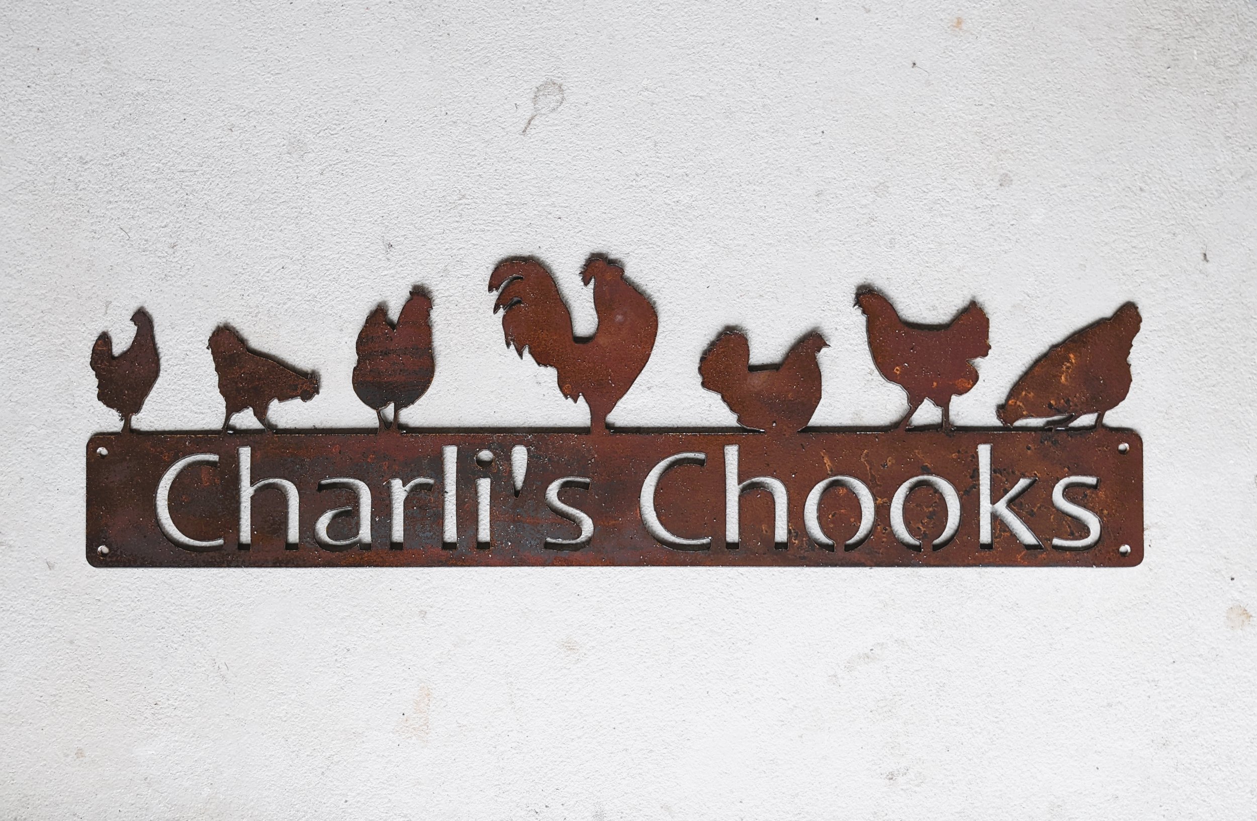 CHarlie chook 3.jpg