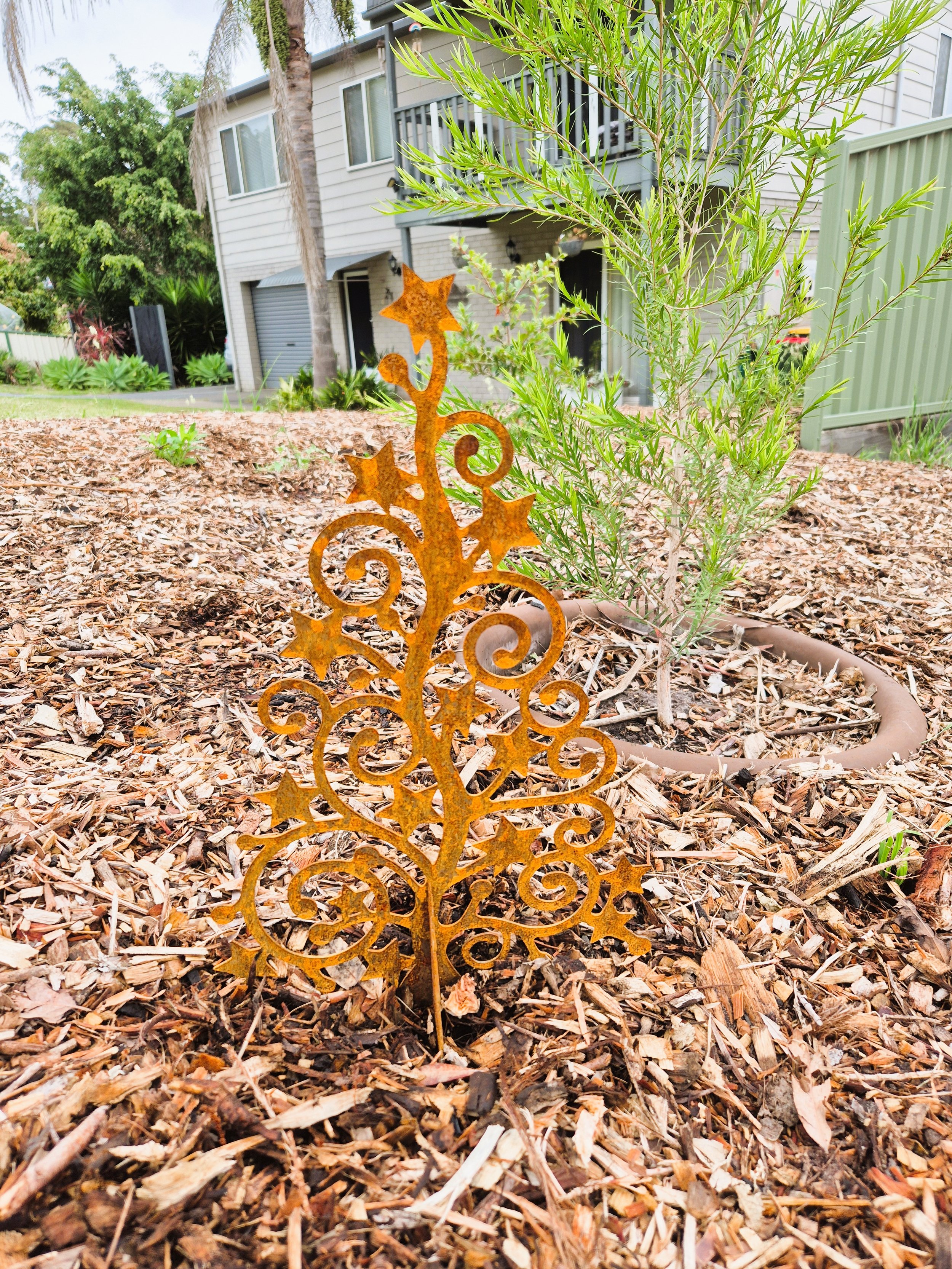 Curly Tree.jpg