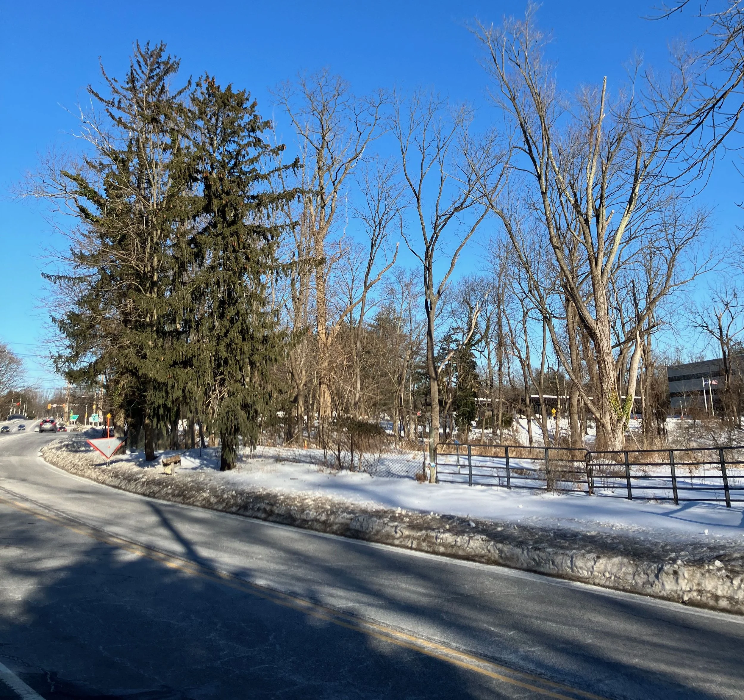 Andrews Management’s Required “Sight Triangle” Now Has a New Unhappy Owner