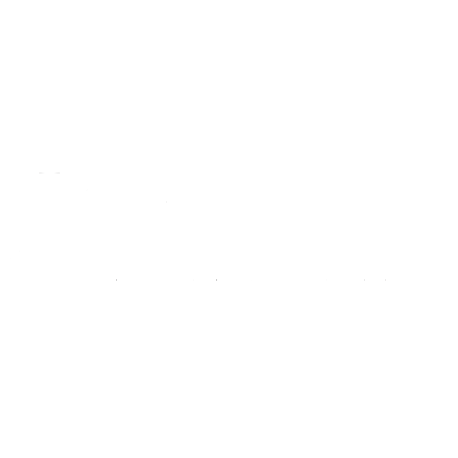 transparent-New SALT PHOTO.png