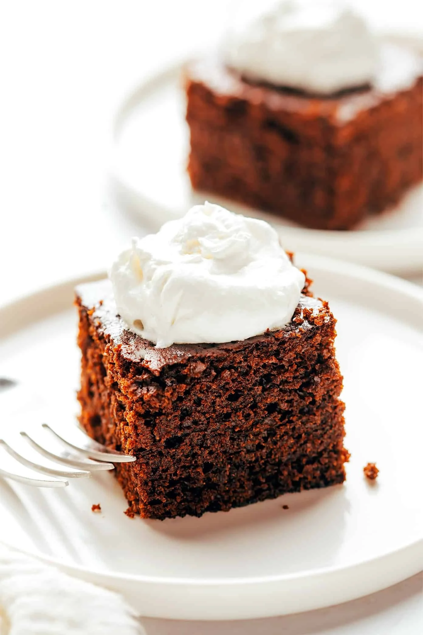 Orange Spice Gingerbread Cake