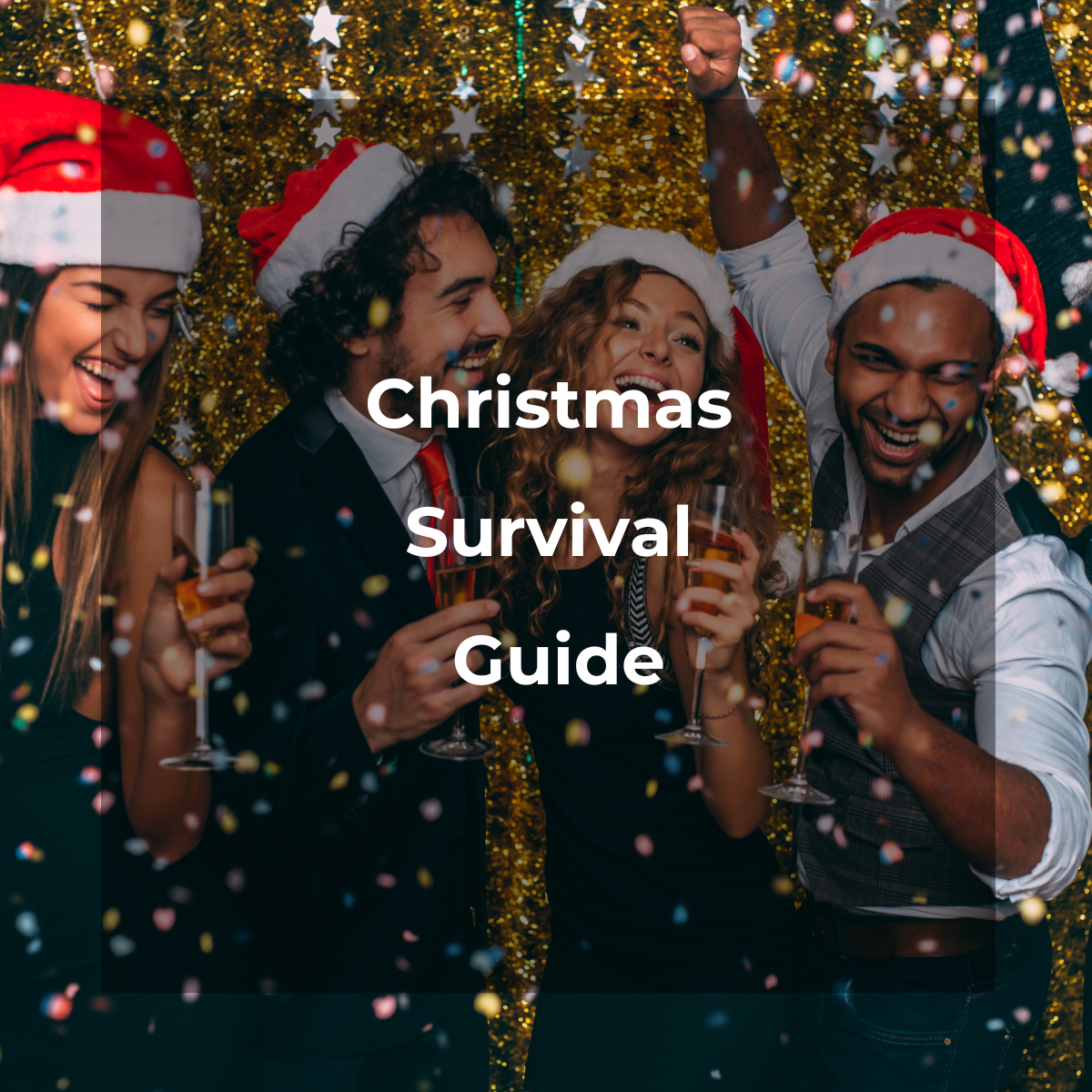 Christmas Survival Guide