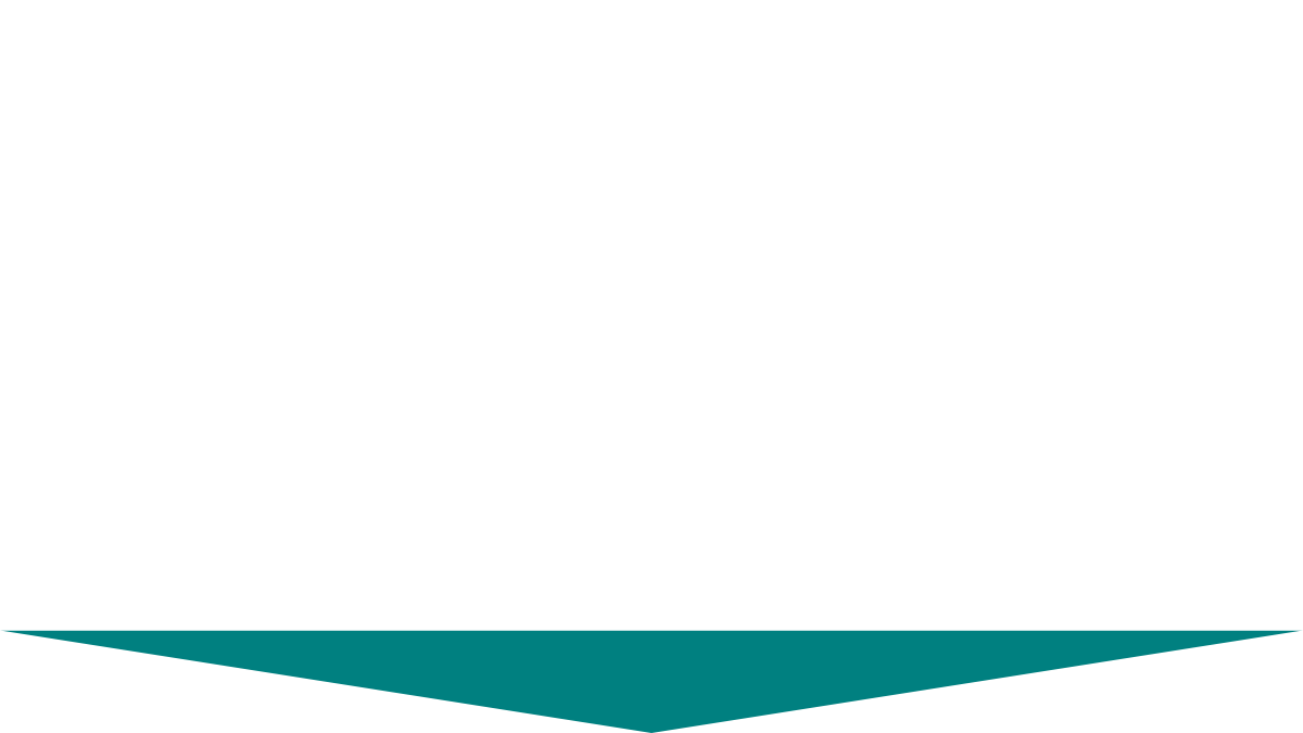 A logo with the word 'ANEAR' in black font, featuring a teal chevron shape below it.