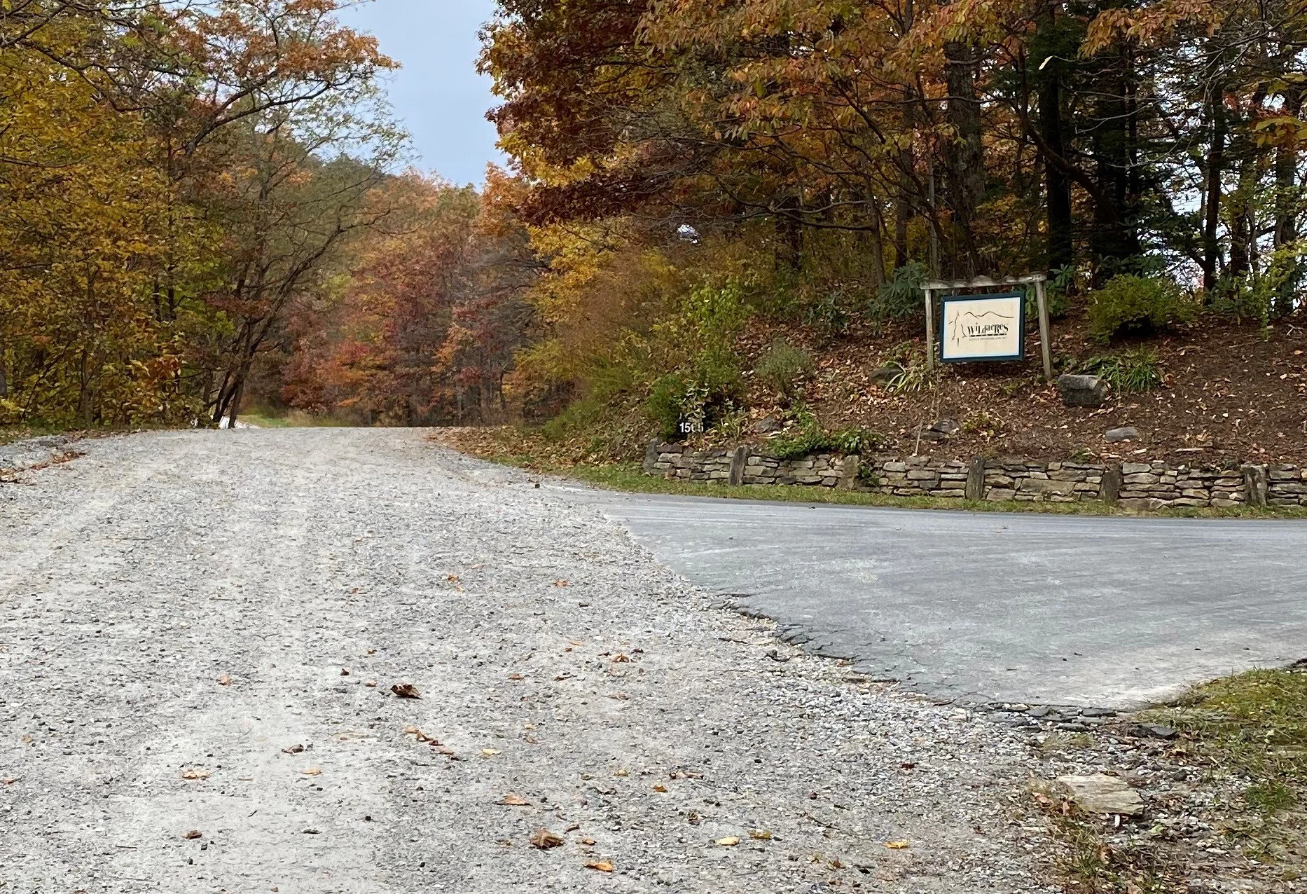 Schedule — Jazz Guitar at Wildacres JGWA Schedule — Jazz Guitar at Wildacres JGWA