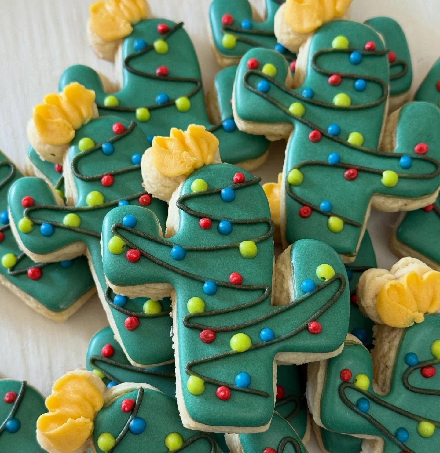 Arizona Christmas! 🌵