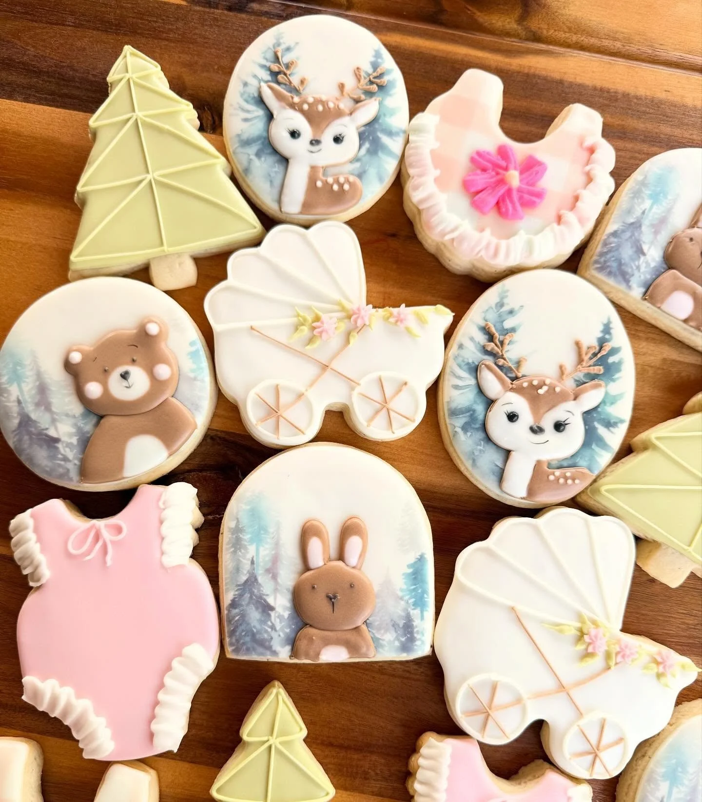 🧸🌸🦌🩷🐰 Happy Shower!