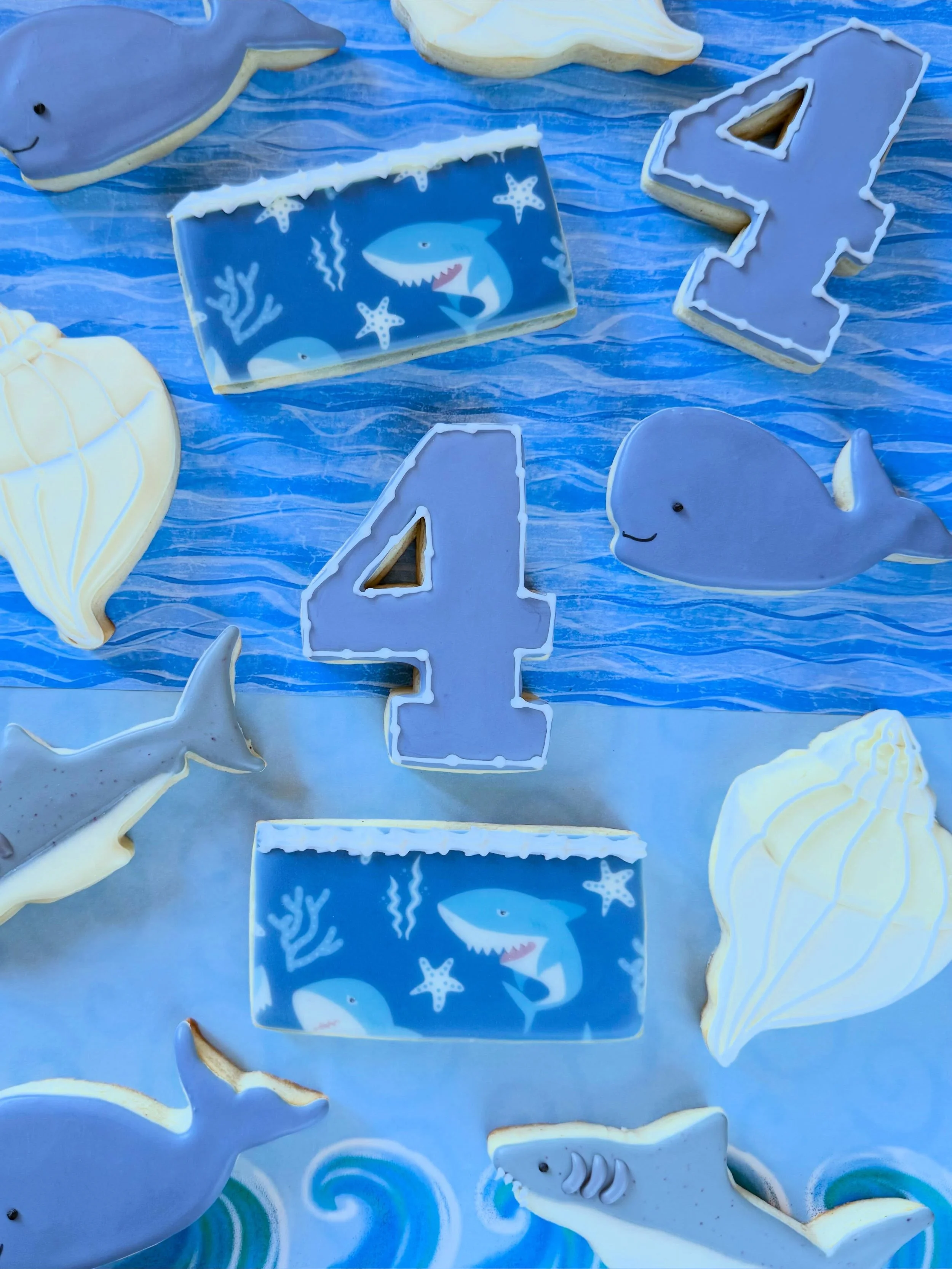 🩵🦈🩵🐳🩵
