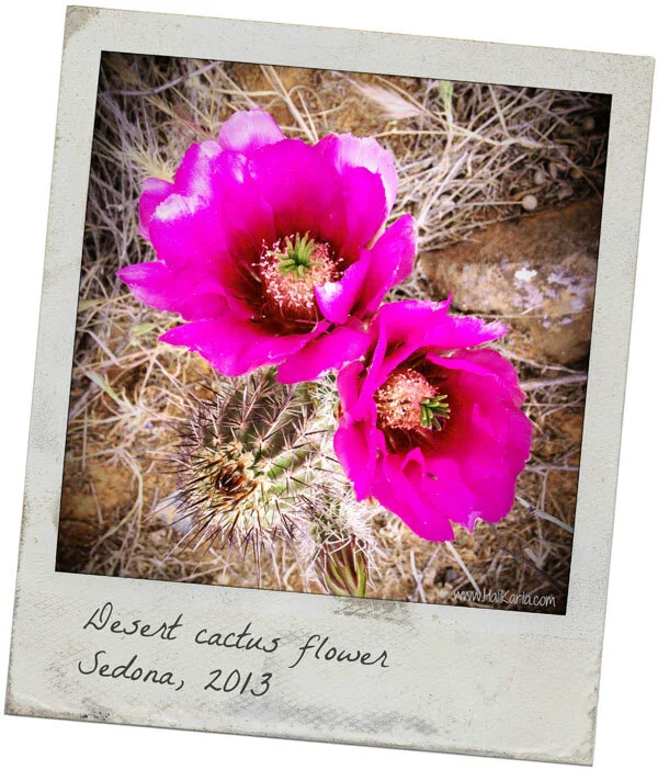 Sedona Video {Retrospective Pt 2}