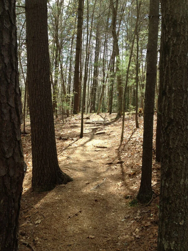 The Prayer Box:: You Are Invited