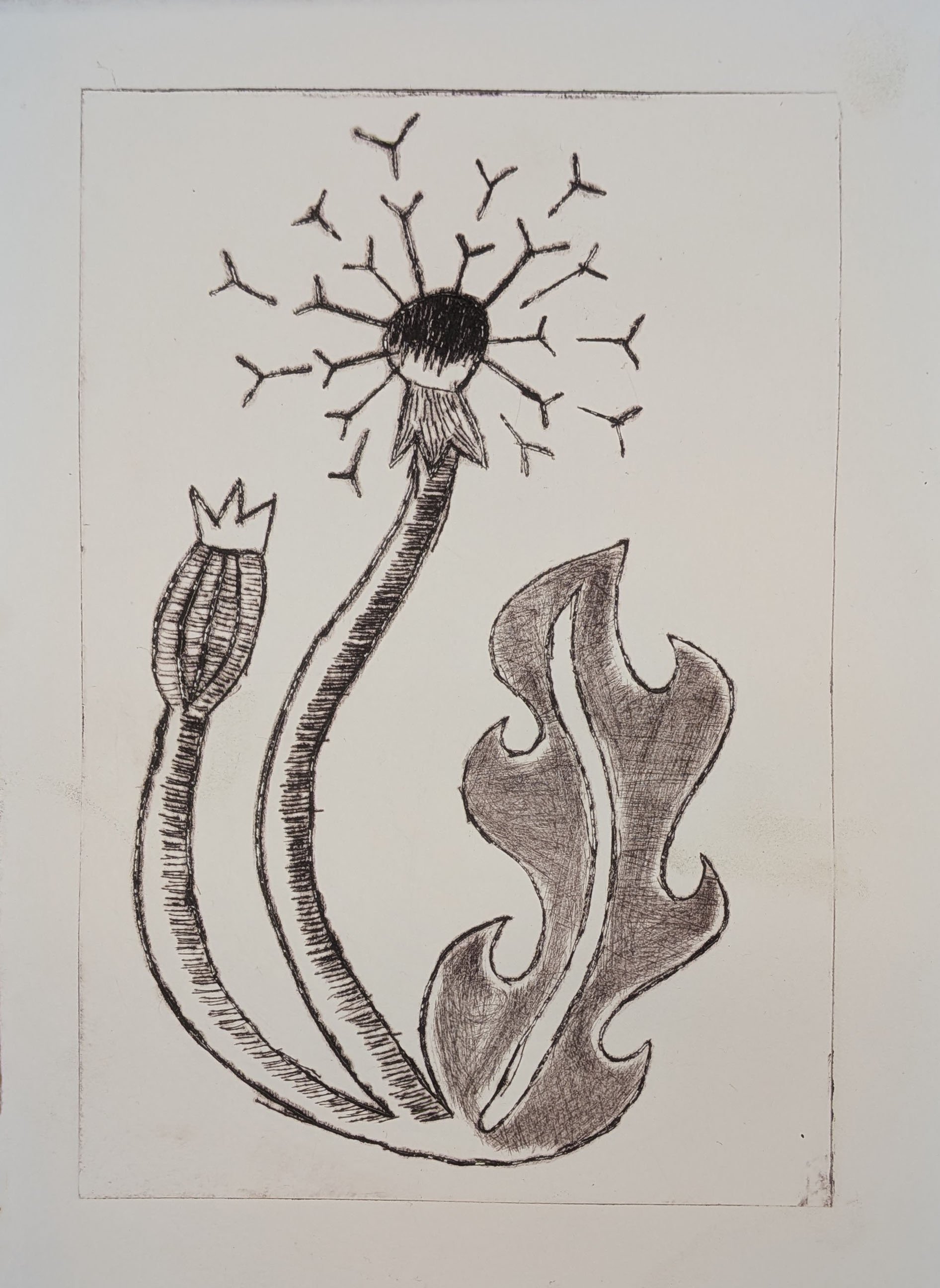 Dandelion #1 | Intaglio drypoint print. This piece was completed during my time at University of Maryland Baltimore County in my Intro to Printmaking class.