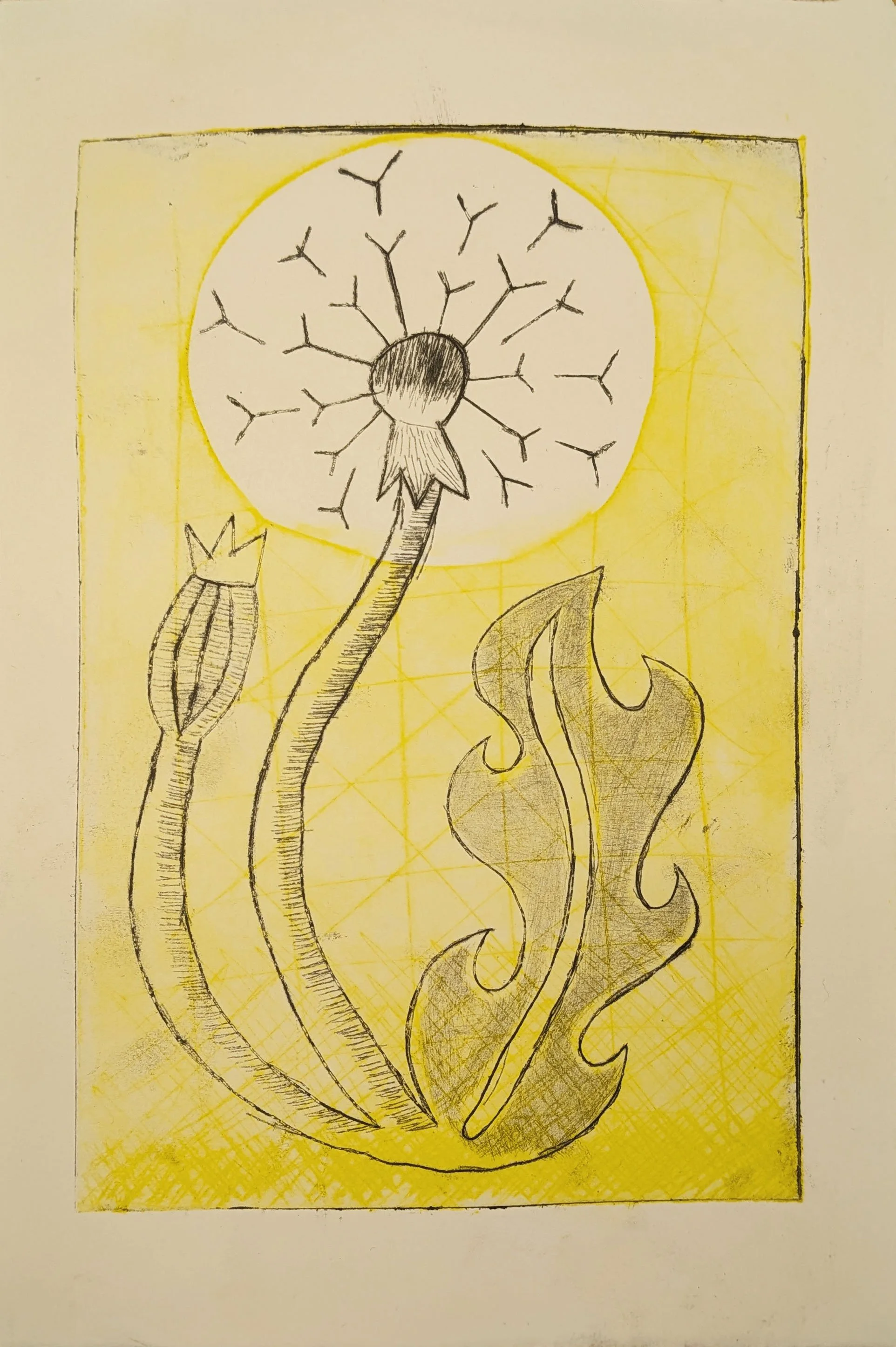 Dandelion #3 | 2 plate intaglio drypoint print. This piece was completed during my time at University of Maryland Baltimore County in my Intro to Printmaking class.