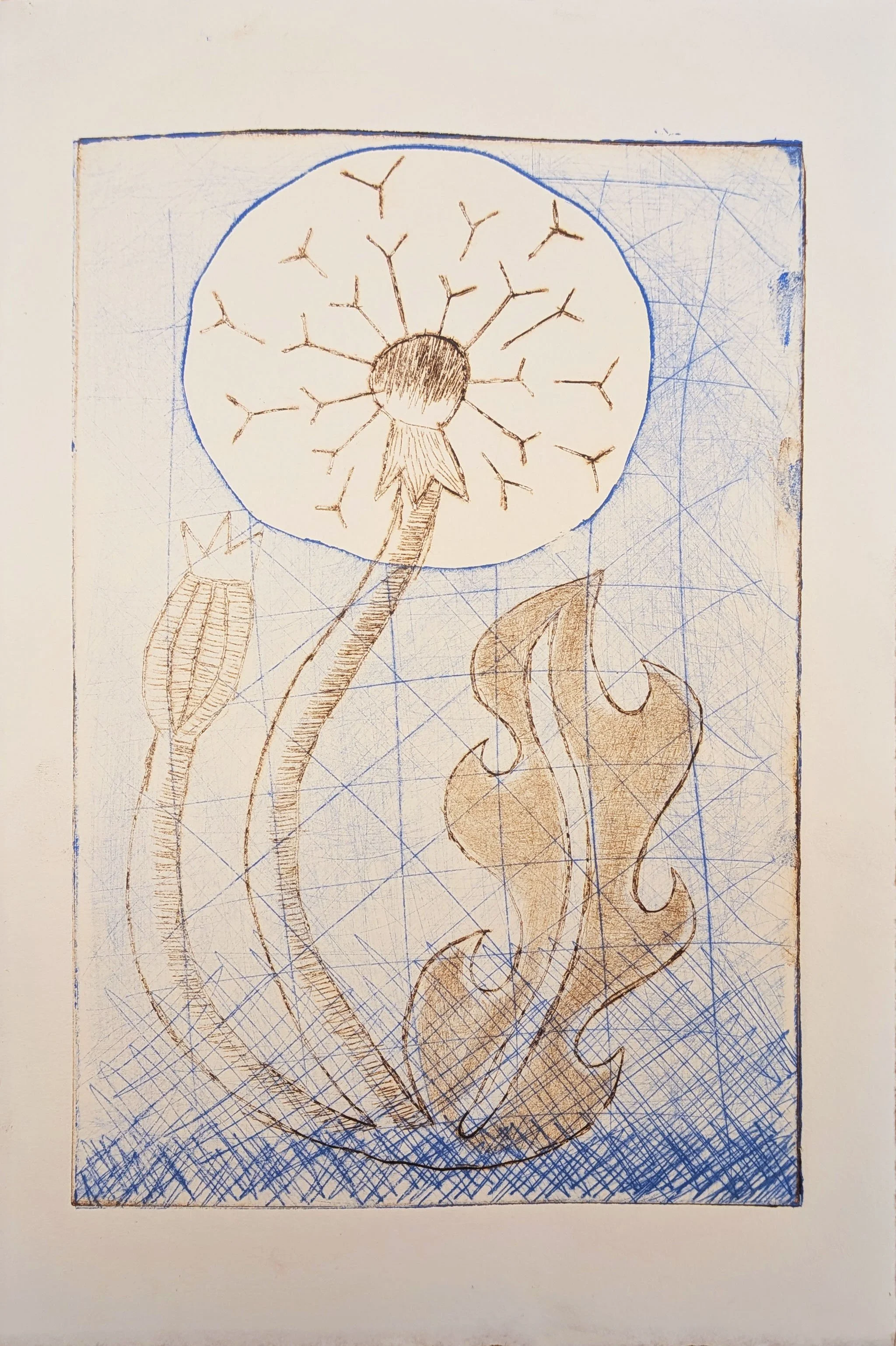 Dandelion #2 | 2 plate intaglio drypoint print. This piece was completed during my time at University of Maryland Baltimore County in my Intro to Printmaking class. 
