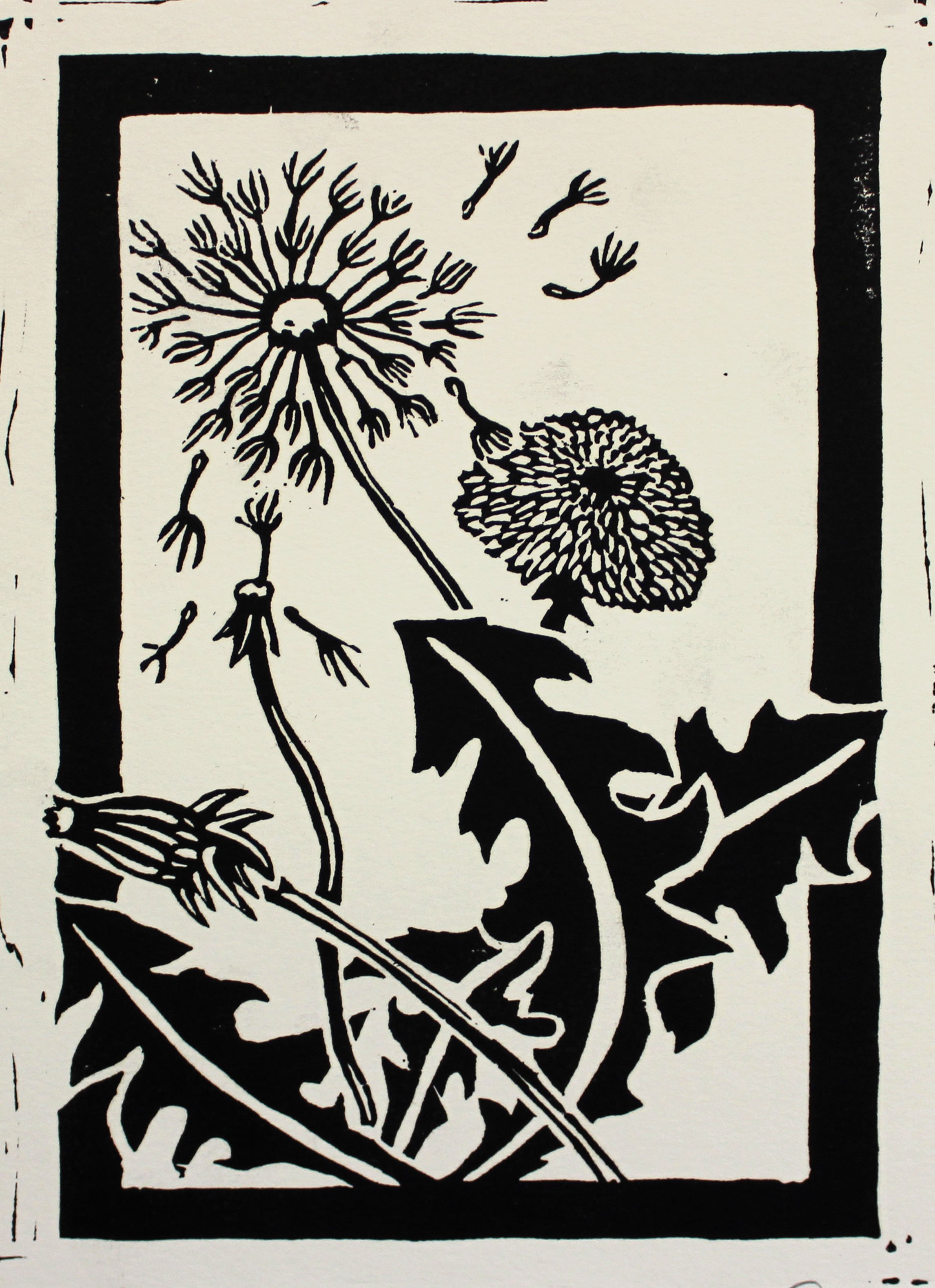 As Fine as Dandelion Wine | This is a linoleum print of dandelions- my favorite flower. Dandelions are considered weeds by most, and are typically undesired plants in landscaping. However, the removal of them is actual damaging, as danelions are one 
