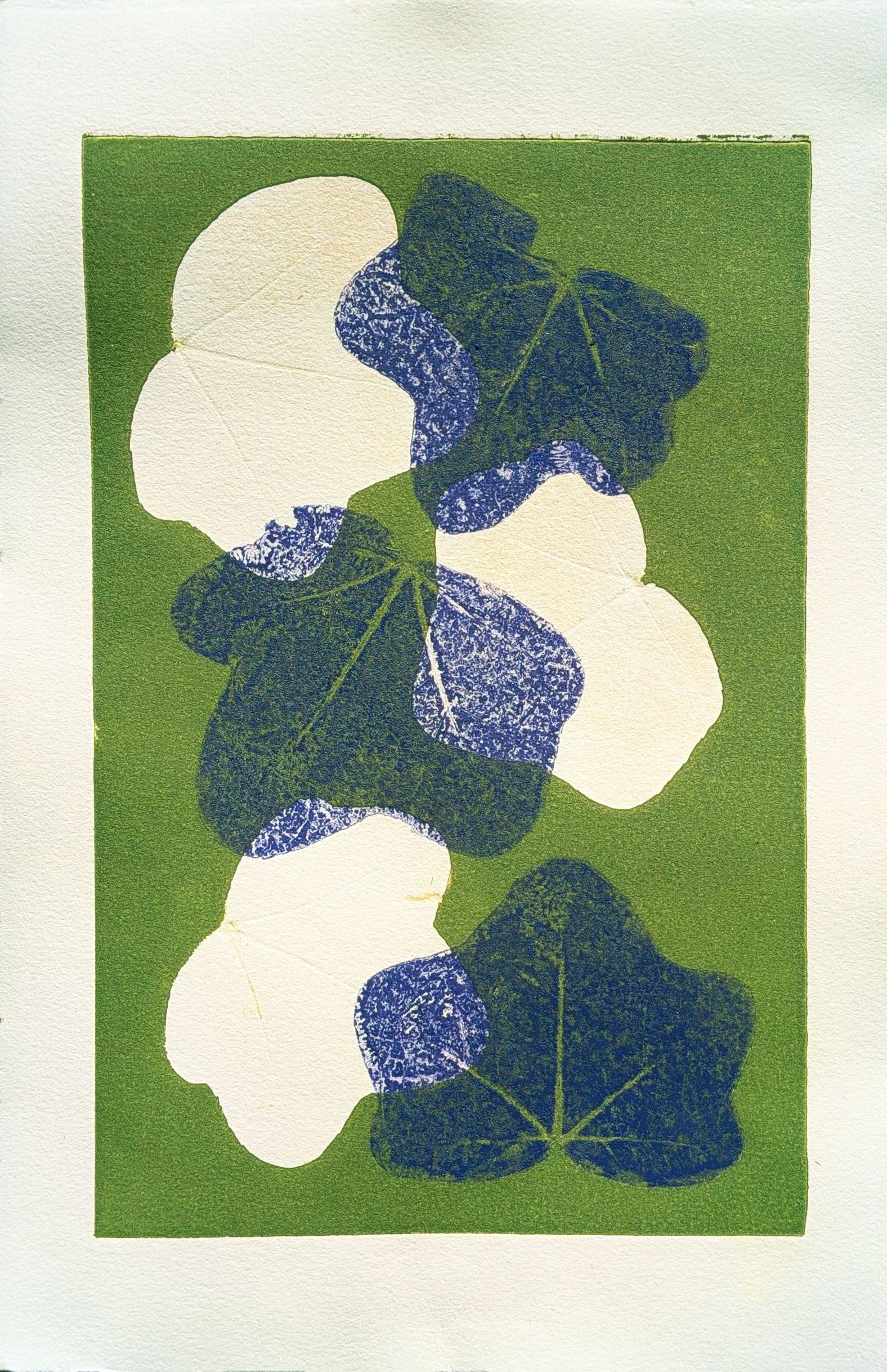 Leaves #1 | 2 color monotype print. This piece was completed during my time at University of Maryland Baltimore County in my Intro to Printmaking class.