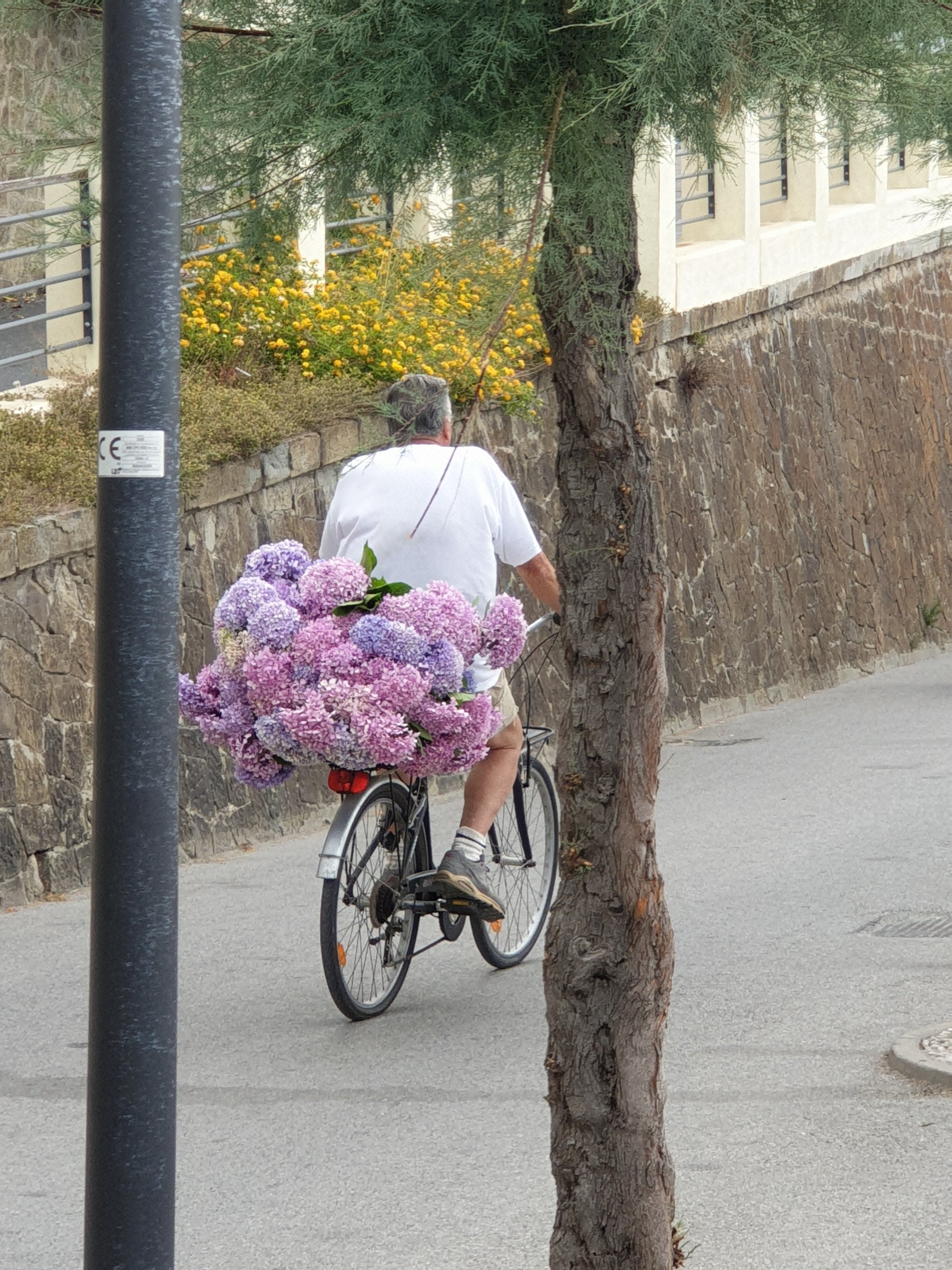 Man with flowers.jpg