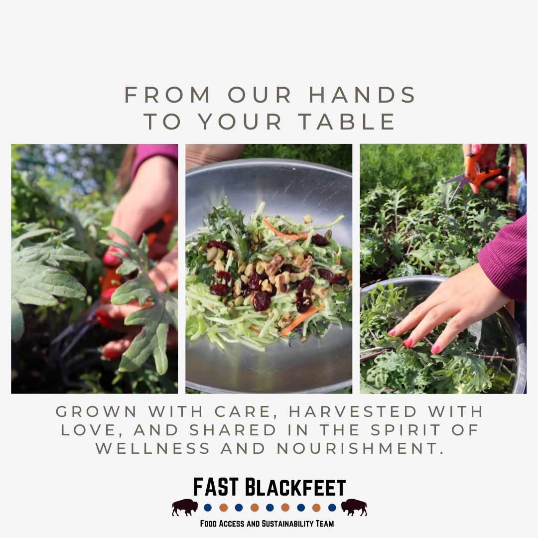 Salad & Stories: Cooking Class