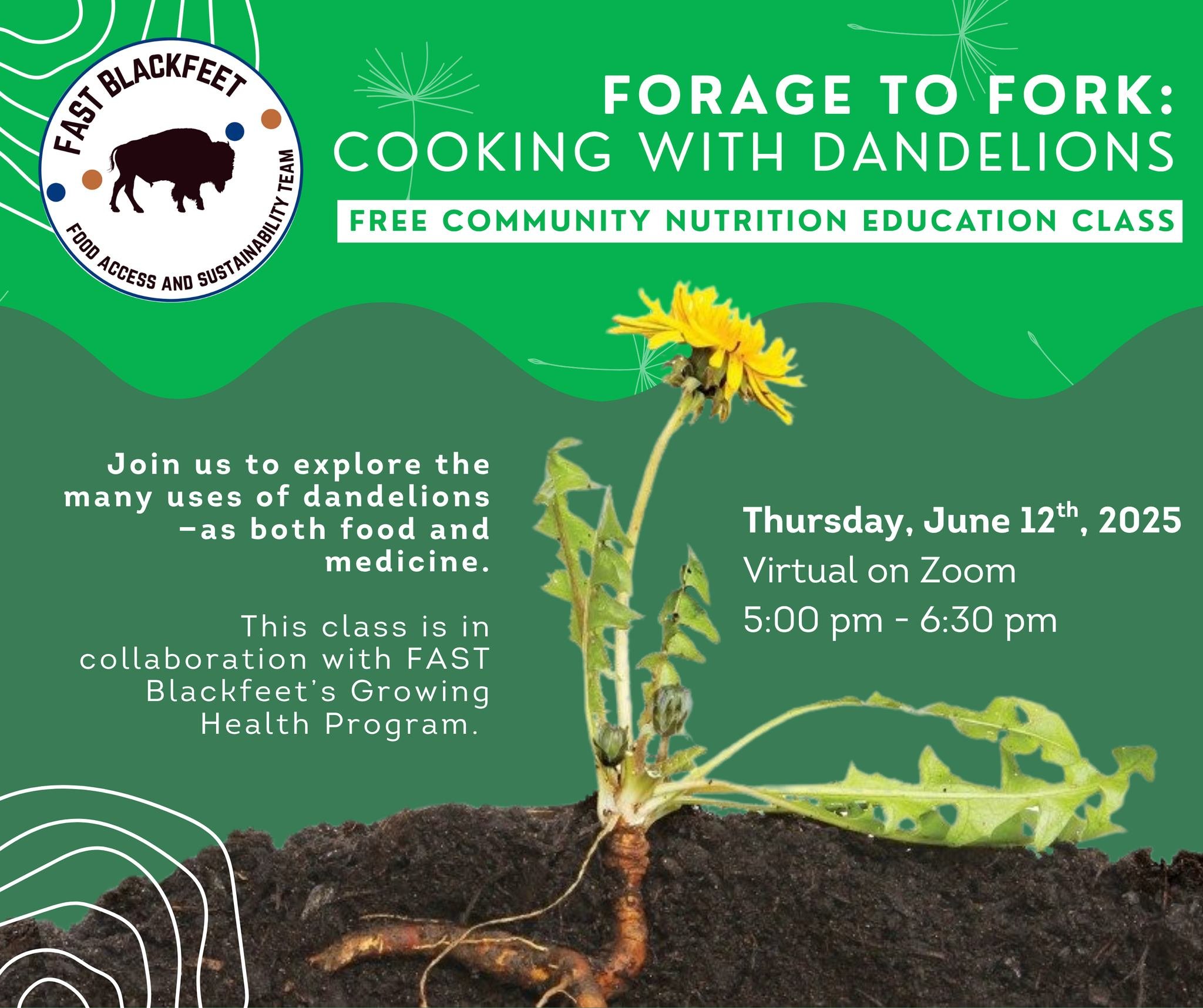 Forage to Fork: Cooking with Dandelions (Virtual Class)