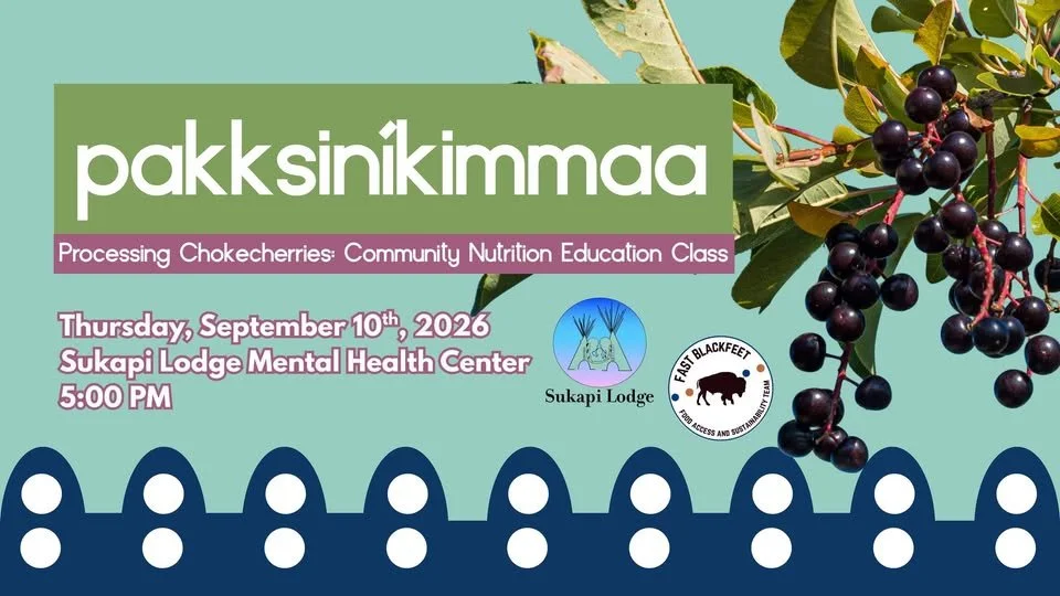 Pakksiníkimmaa: Processing Chokecherries - Community Nutrition Education Class