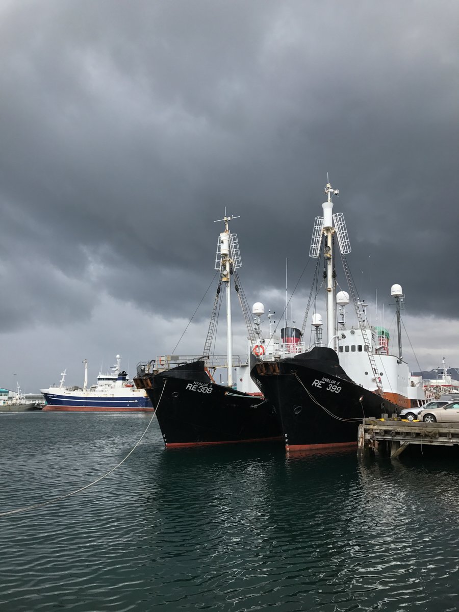 Blog-Iceland-3.jpg