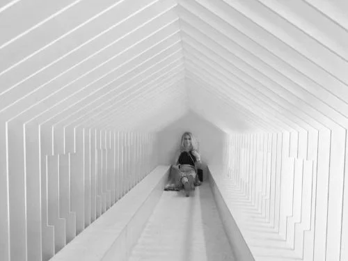 Snarkitecture, Burning Man, and Fractal Worlds