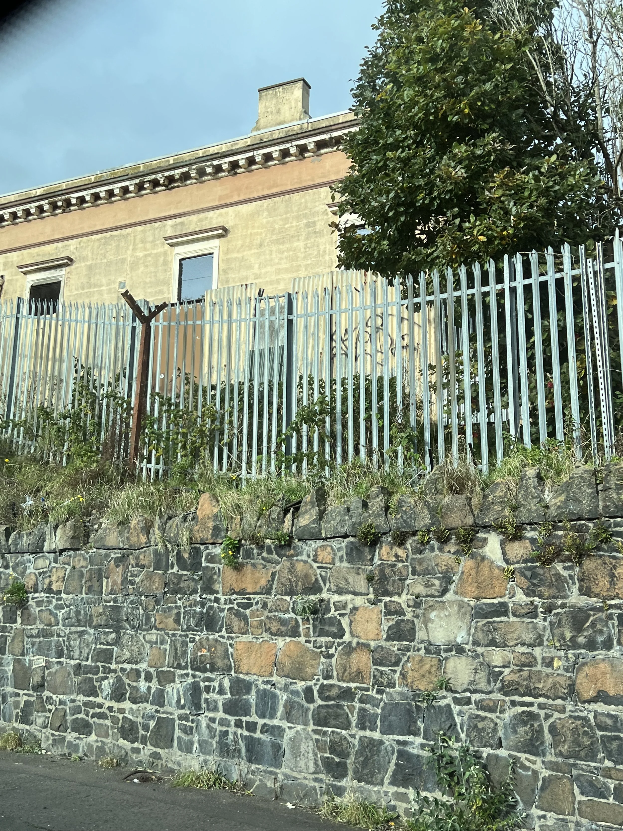 IMG_3127.jpeg