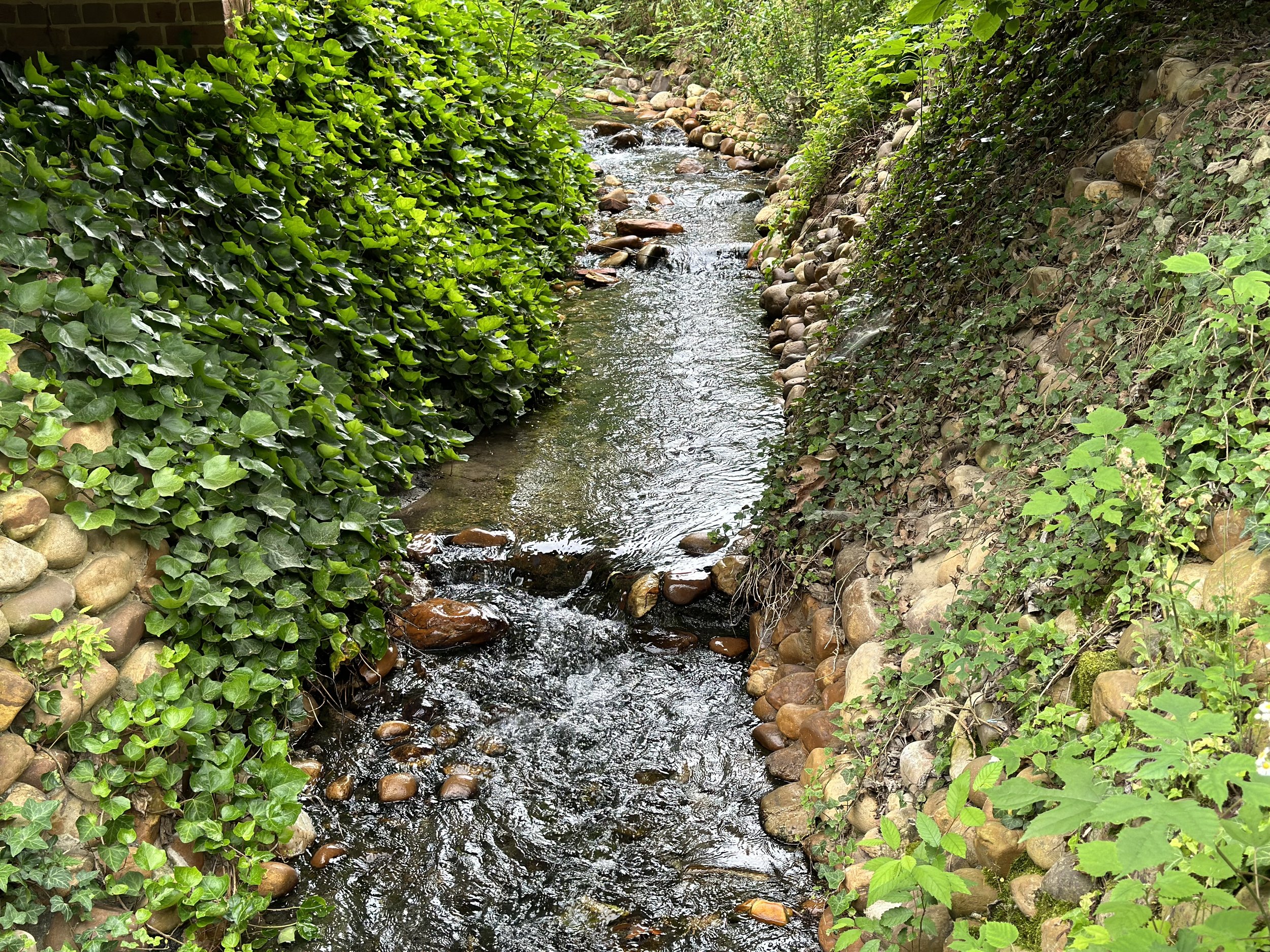 IMG_0867.jpeg